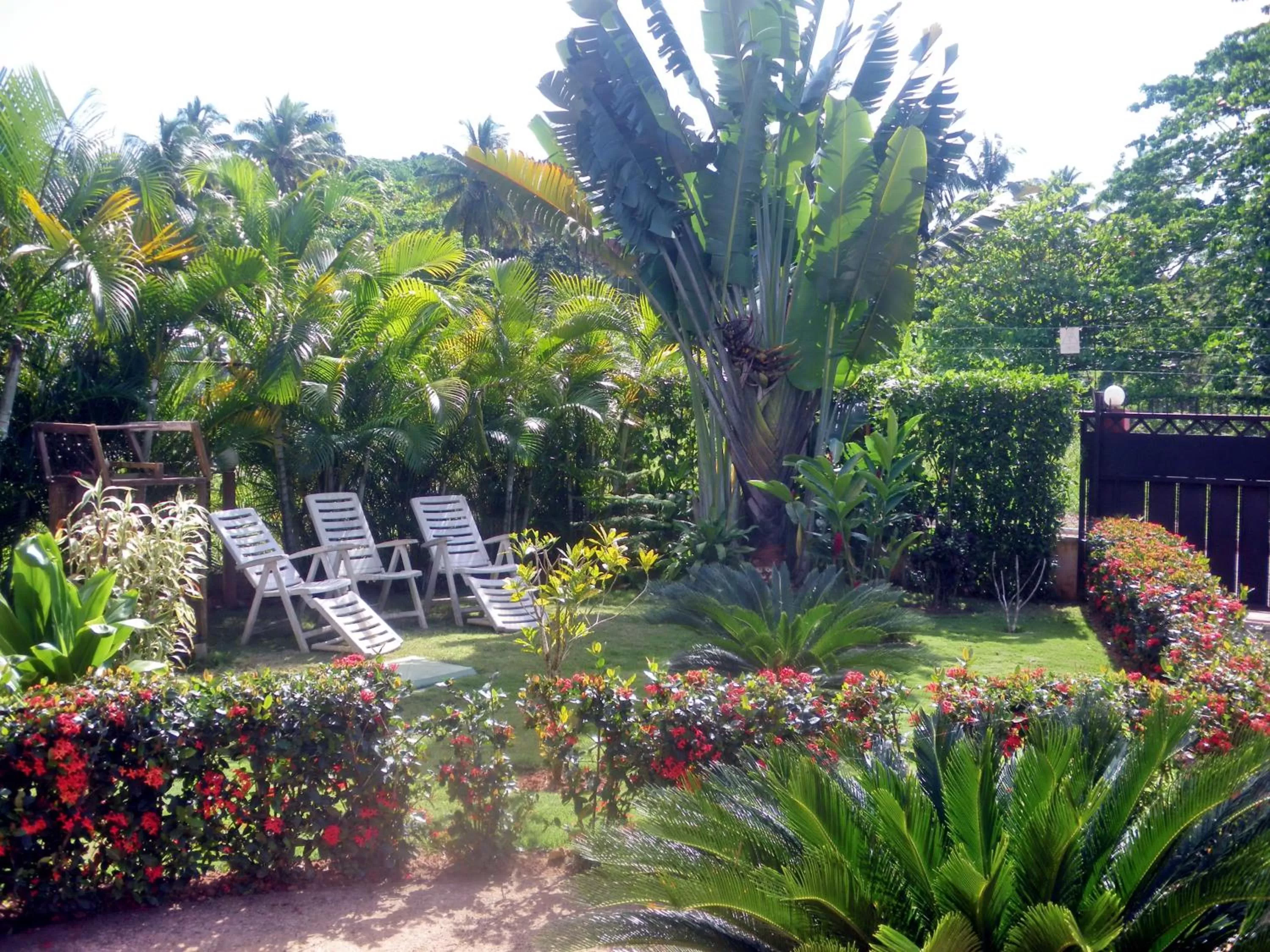 Garden in Casa Lily & Coco