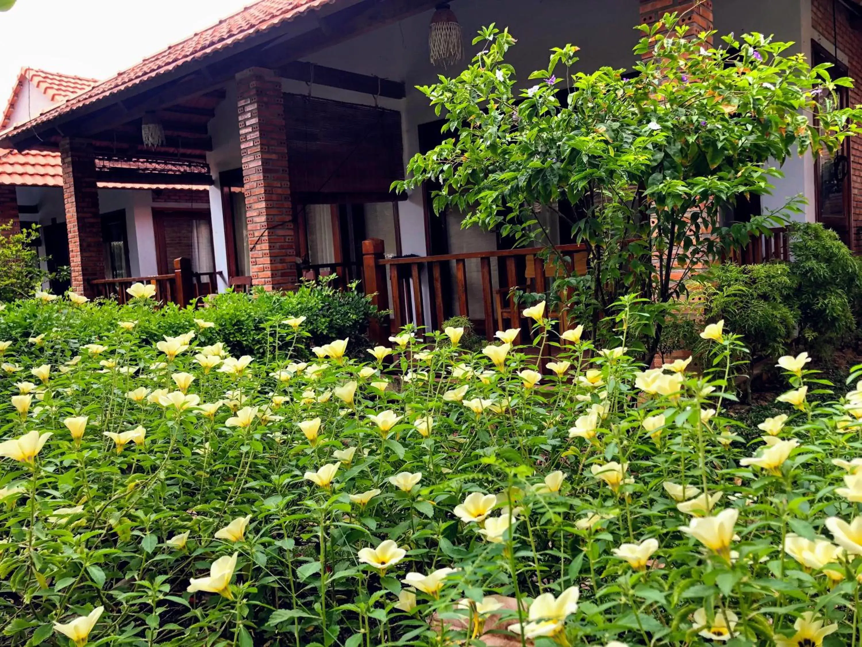 Garden, Property Building in Wildland Resort