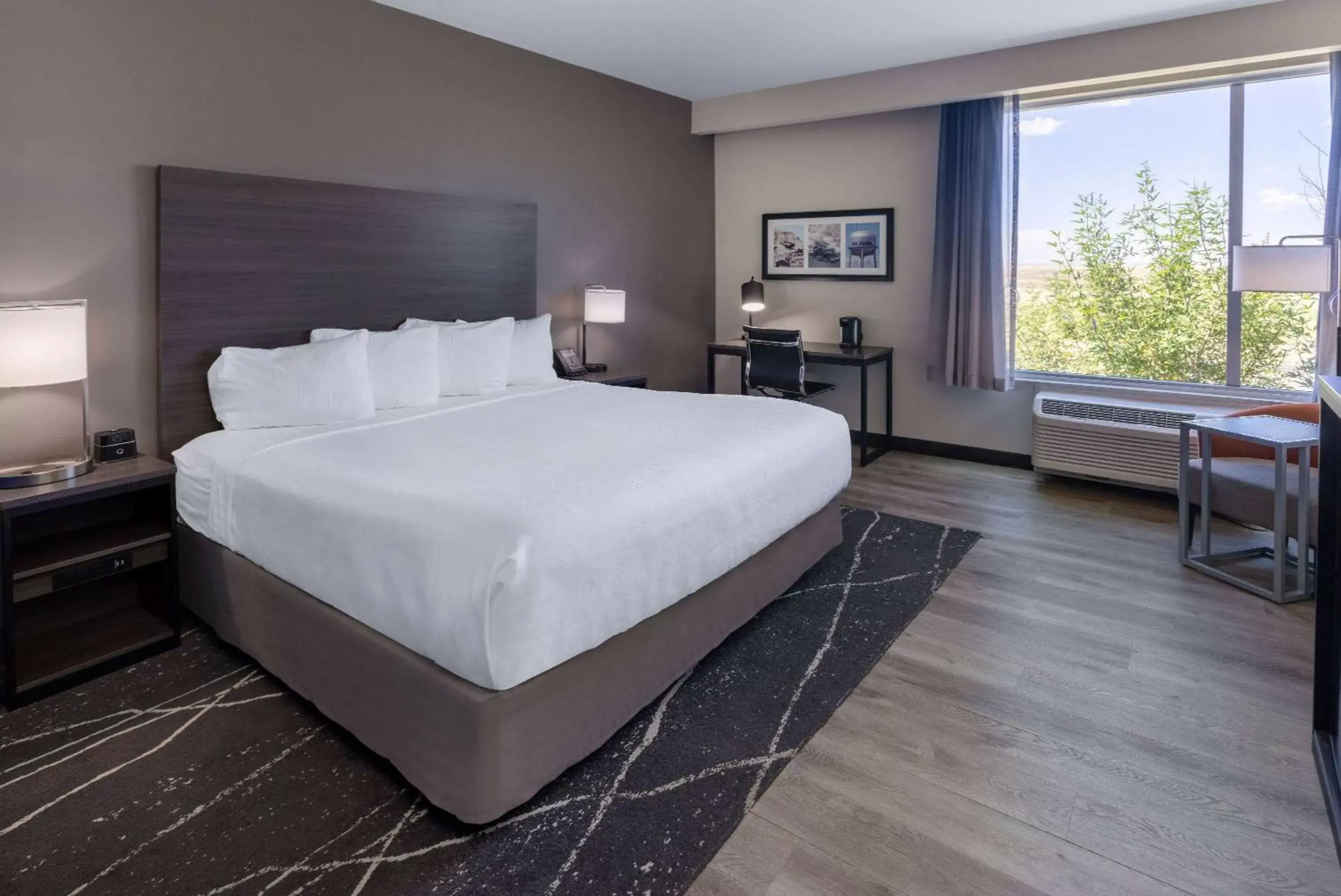 Photo of the whole room, Bed in La Quinta Inn & Suites by Wyndham Holbrook Petrified Forest