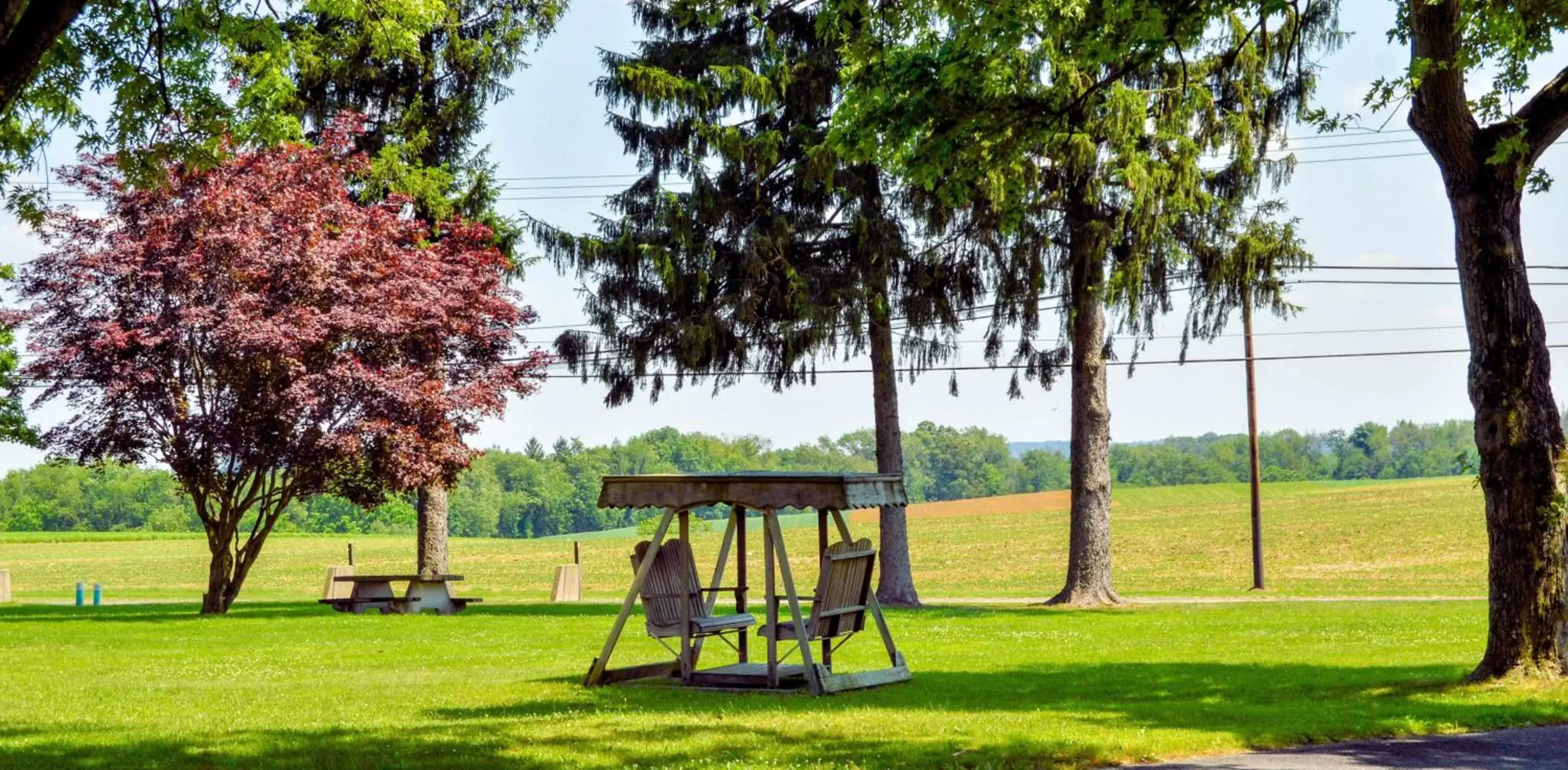 Natural landscape, Garden in Motel 6-Shartlesville, PA