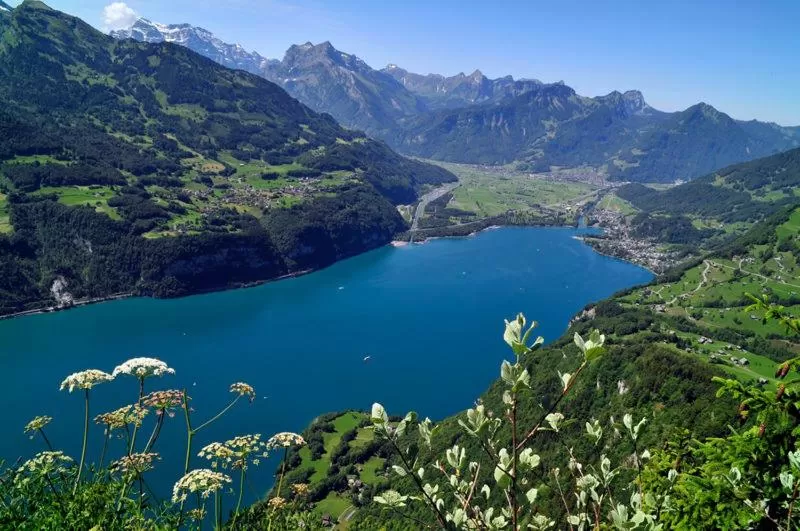 Natural landscape in Schäfli