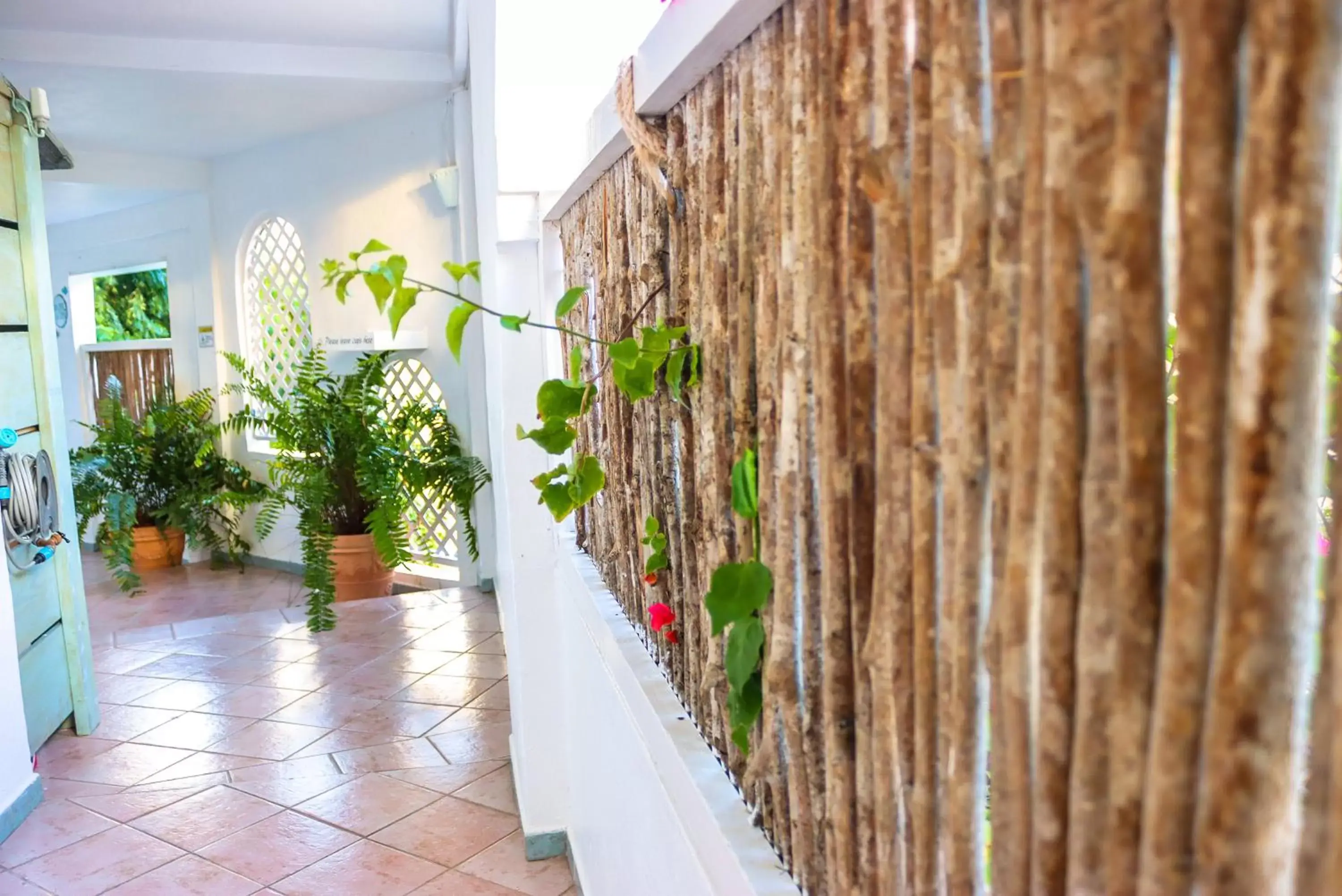 Property building in Ocean Point Beach Resort & Spa Adults Only Property building in Ocean Point Beach Resort & Spa Adults Only