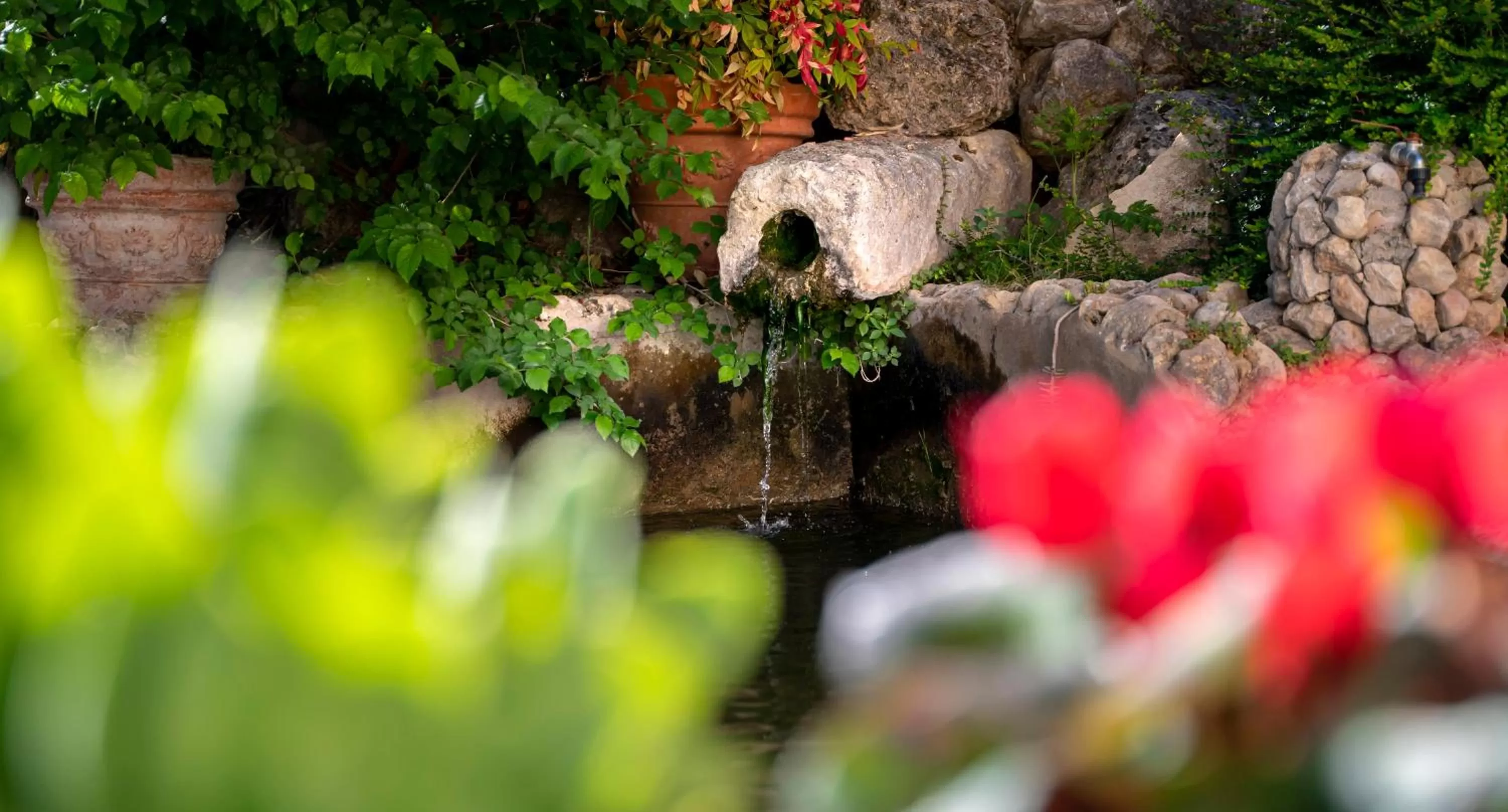 Eco Hotel con encanto Masía la Mota B&B