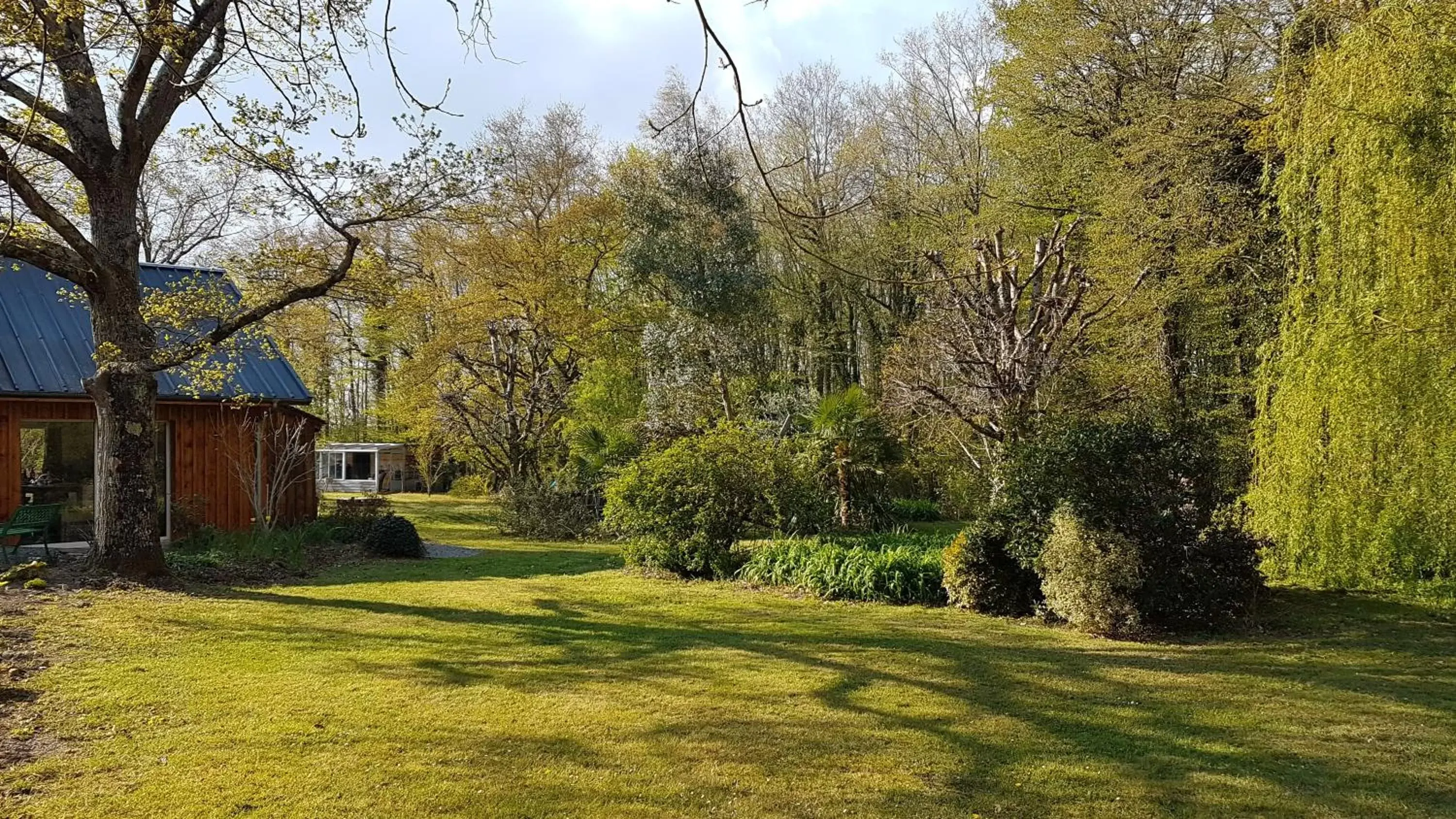 Natural landscape, Garden in Domaine de Sahil