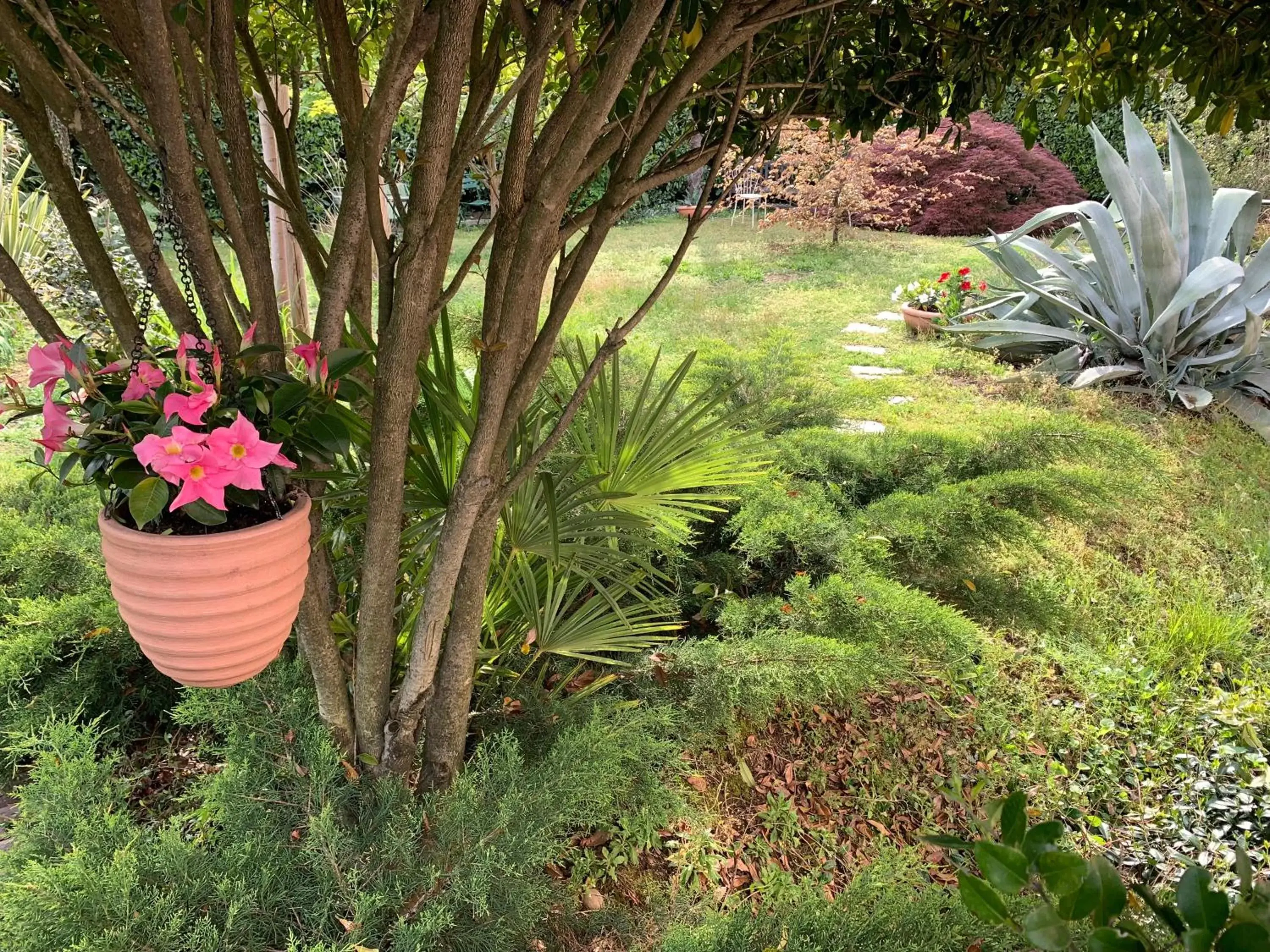 Garden in CASABELLA-LAGO MAGGIORE