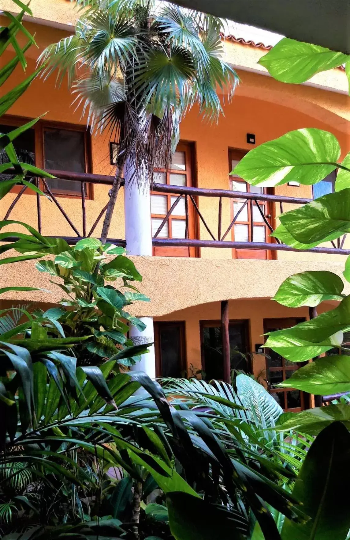 Property Building in Hotel Bosque Caribe, 5th Av. zone