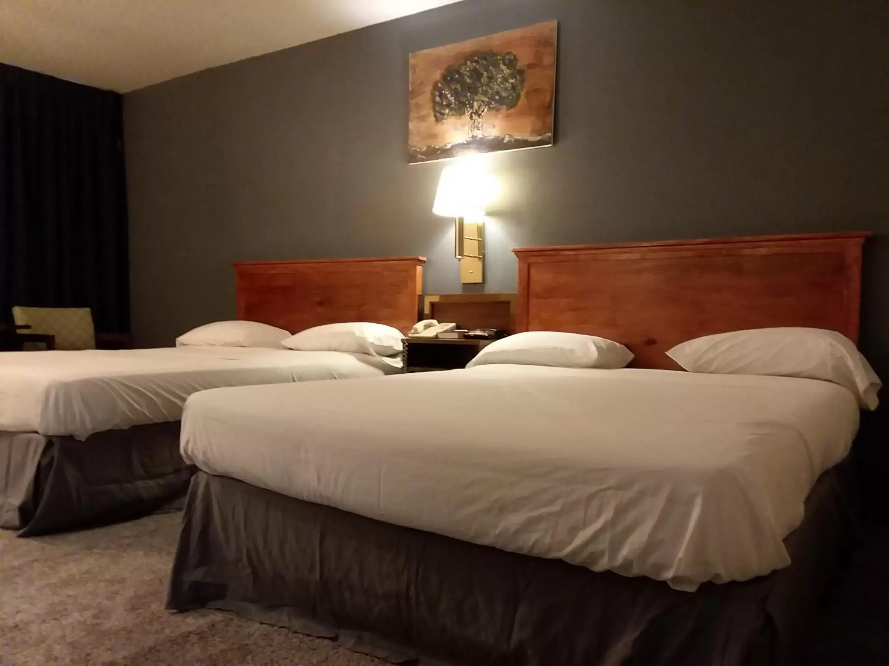 Bed in Americas Best Value Inn Laramie