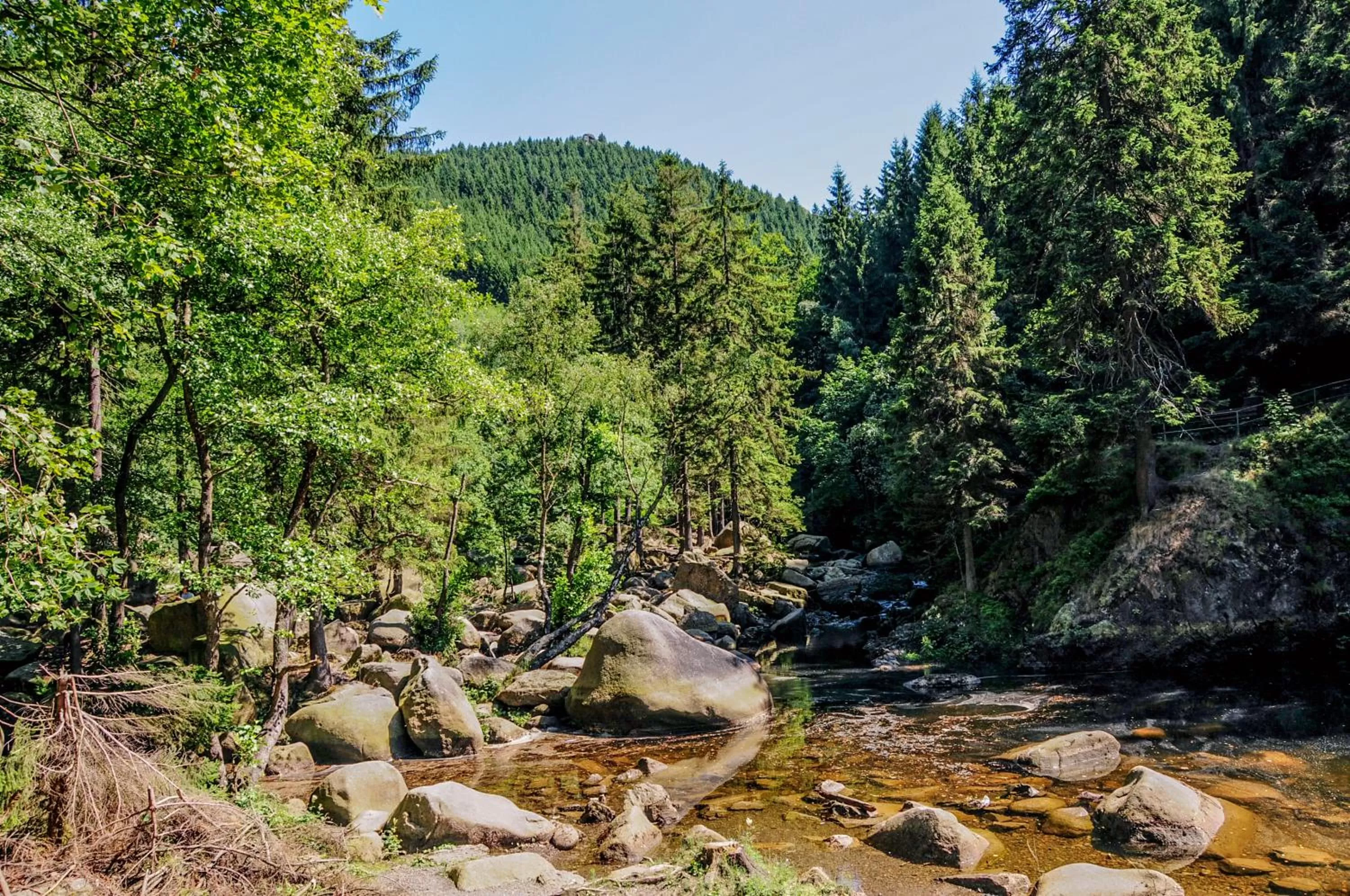 Day in Hotel Zum Harzer