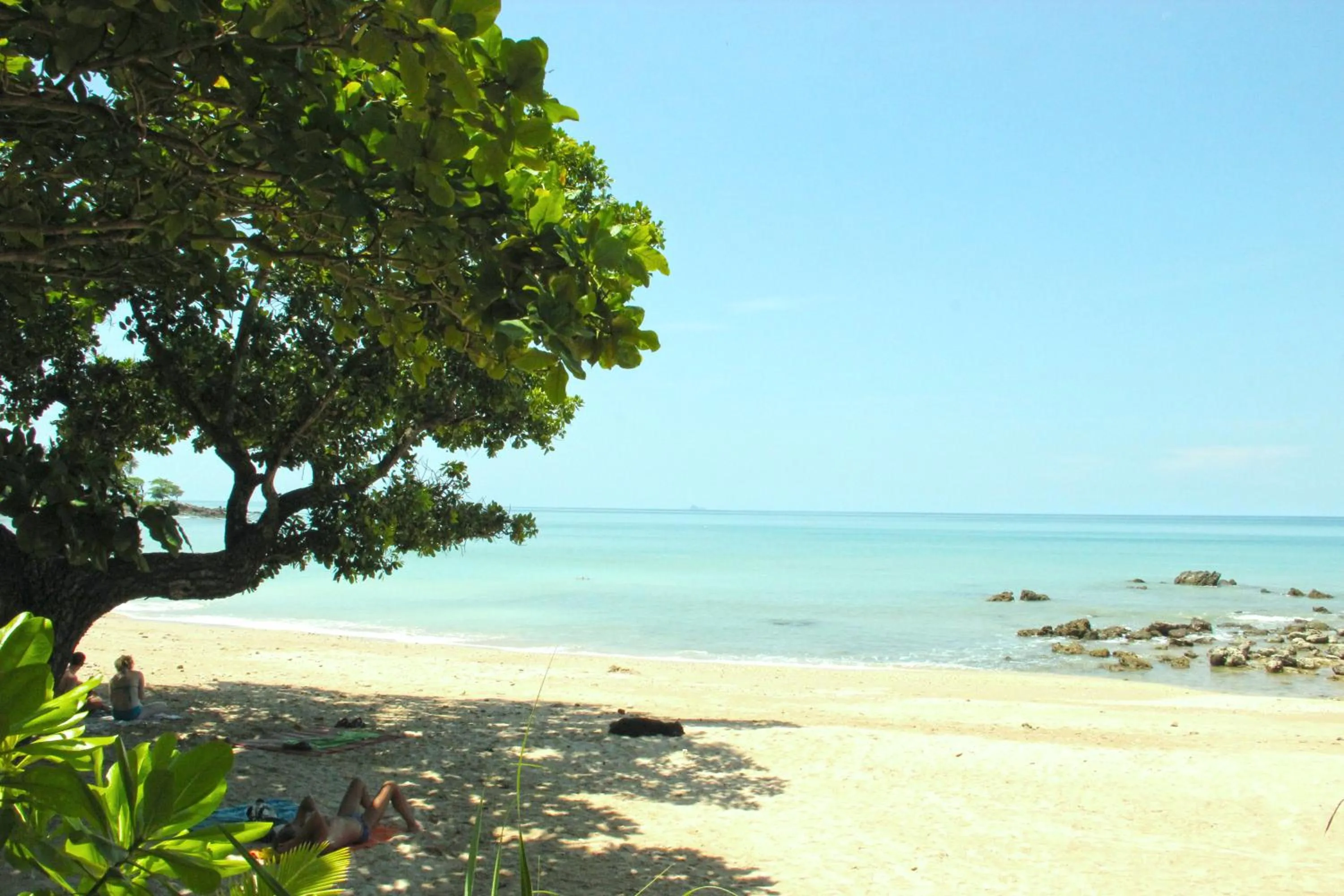 Activities in The Wings Boutique Hotels Krabi Ko Lanta