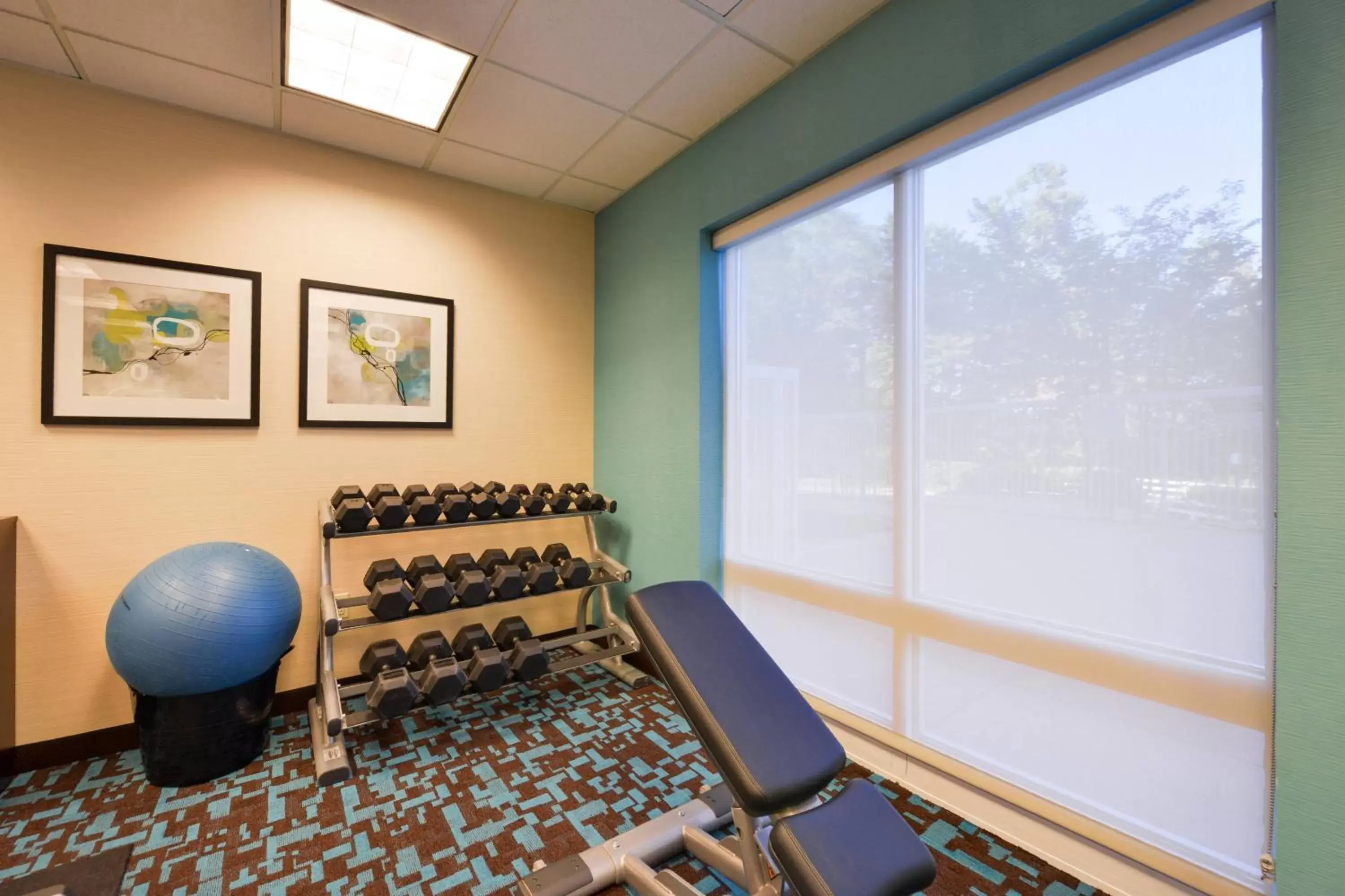 Fitness centre/facilities, Fitness Center/Facilities in Fairfield Inn & Suites White Marsh