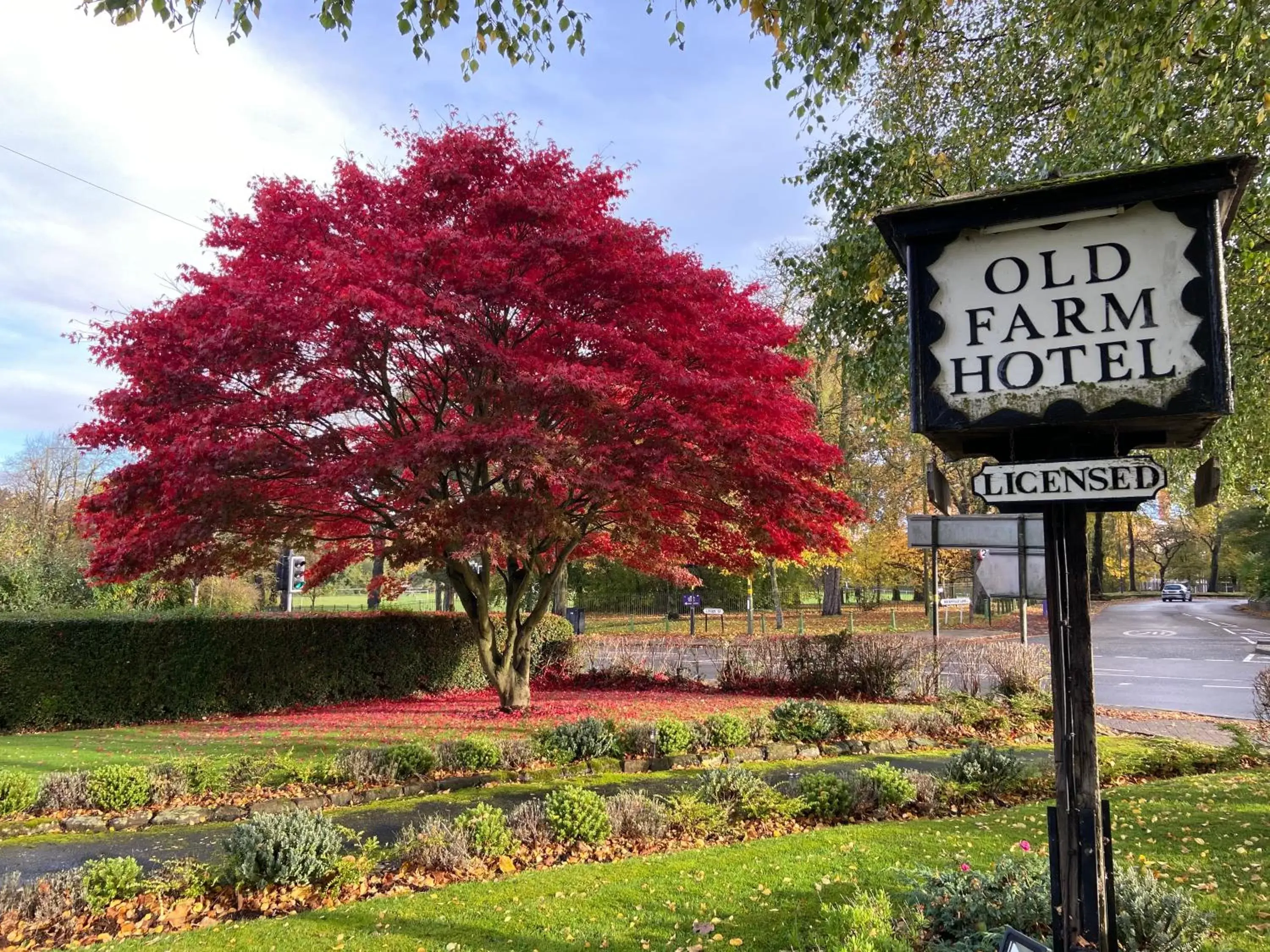 Natural landscape in Old Farm Hotel