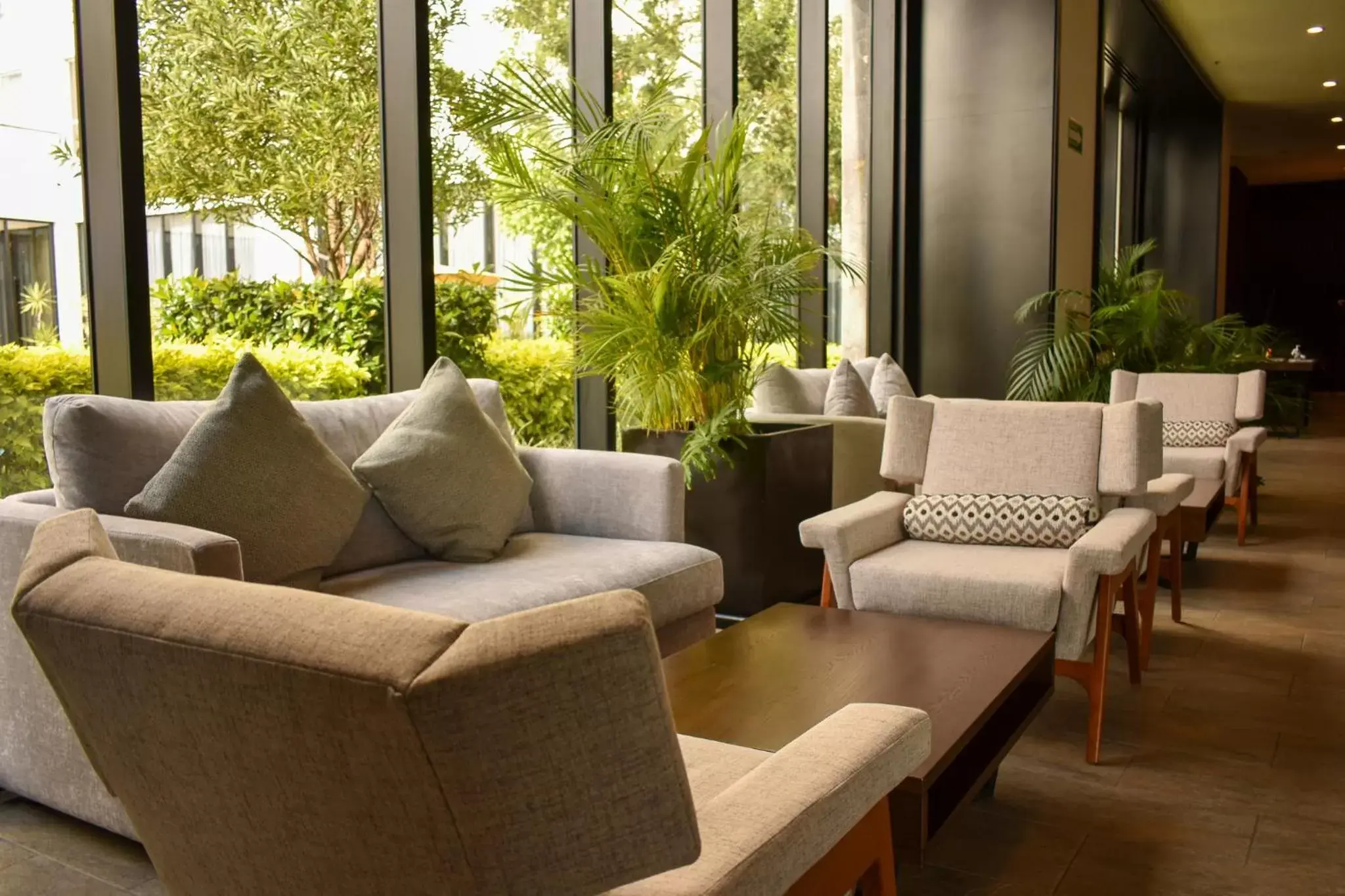 Lobby or reception, Seating Area in FUJITAYA Querétaro