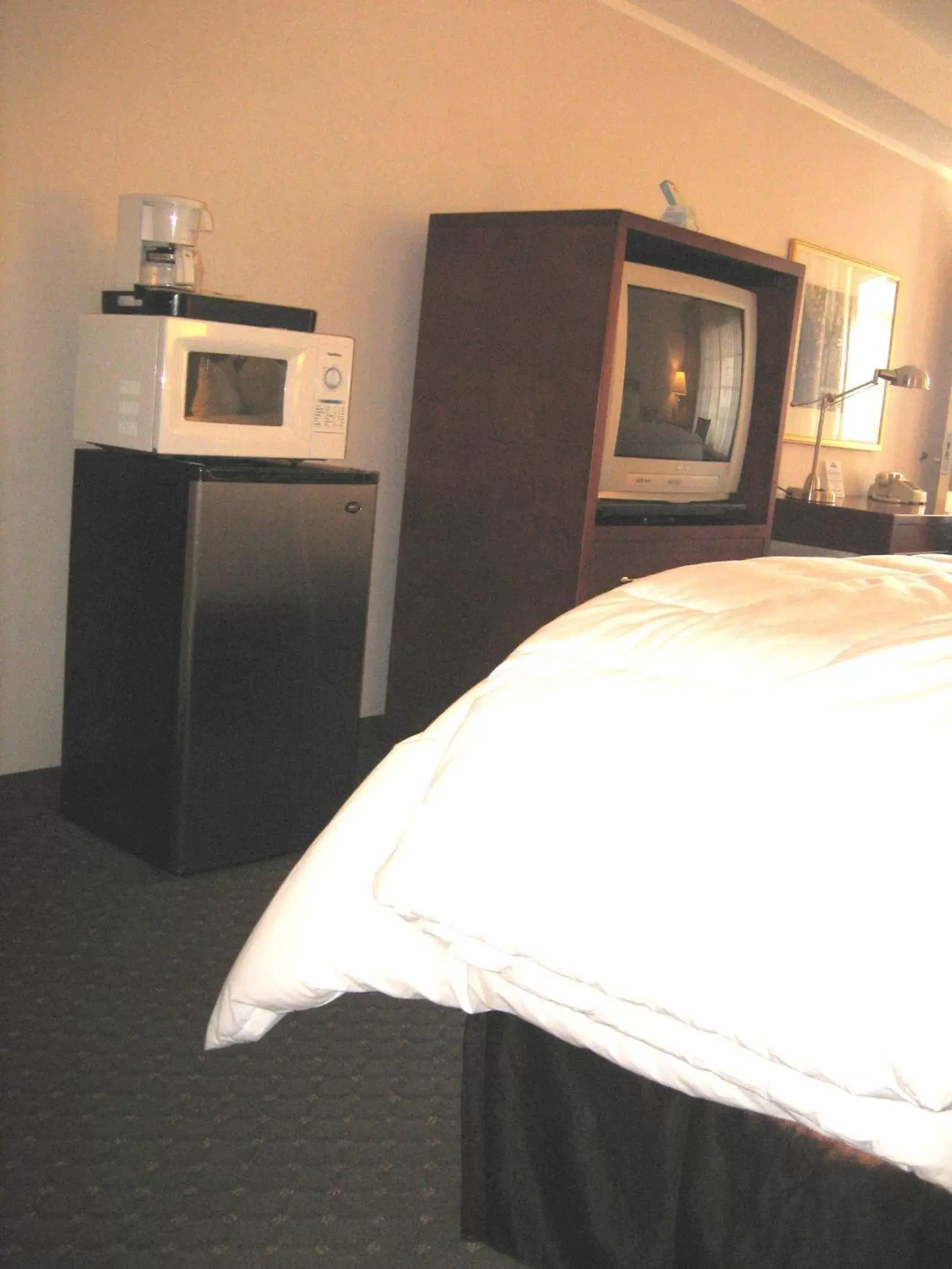 Business King Room - Non-Smoking in Days Inn by Wyndham San Diego/Downtown/Convention Center
