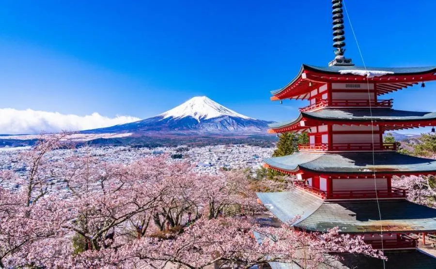 HOTEL MYSTAYS Fuji Onsen Resort