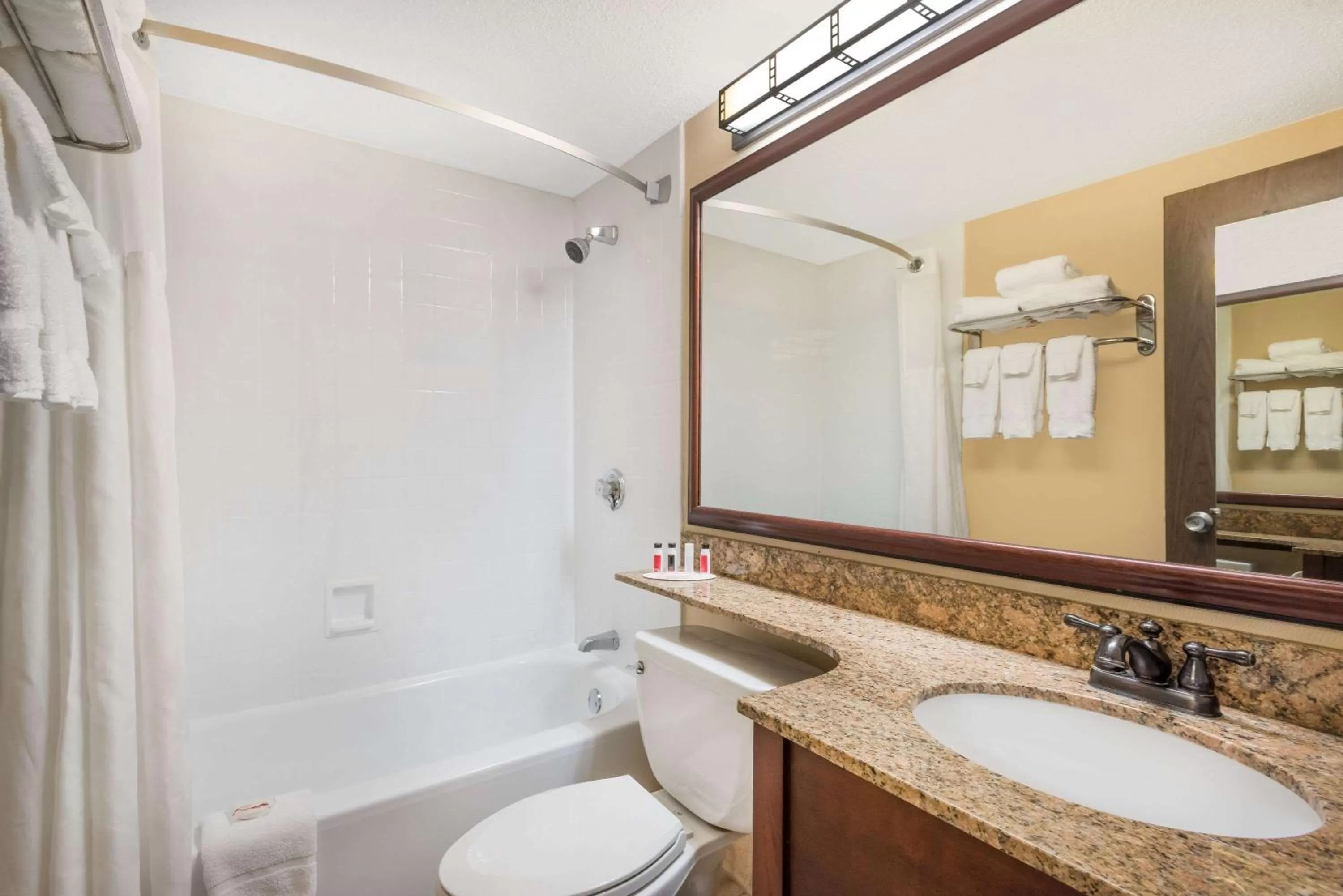 Bathroom in Ramada Plaza by Wyndham Portland