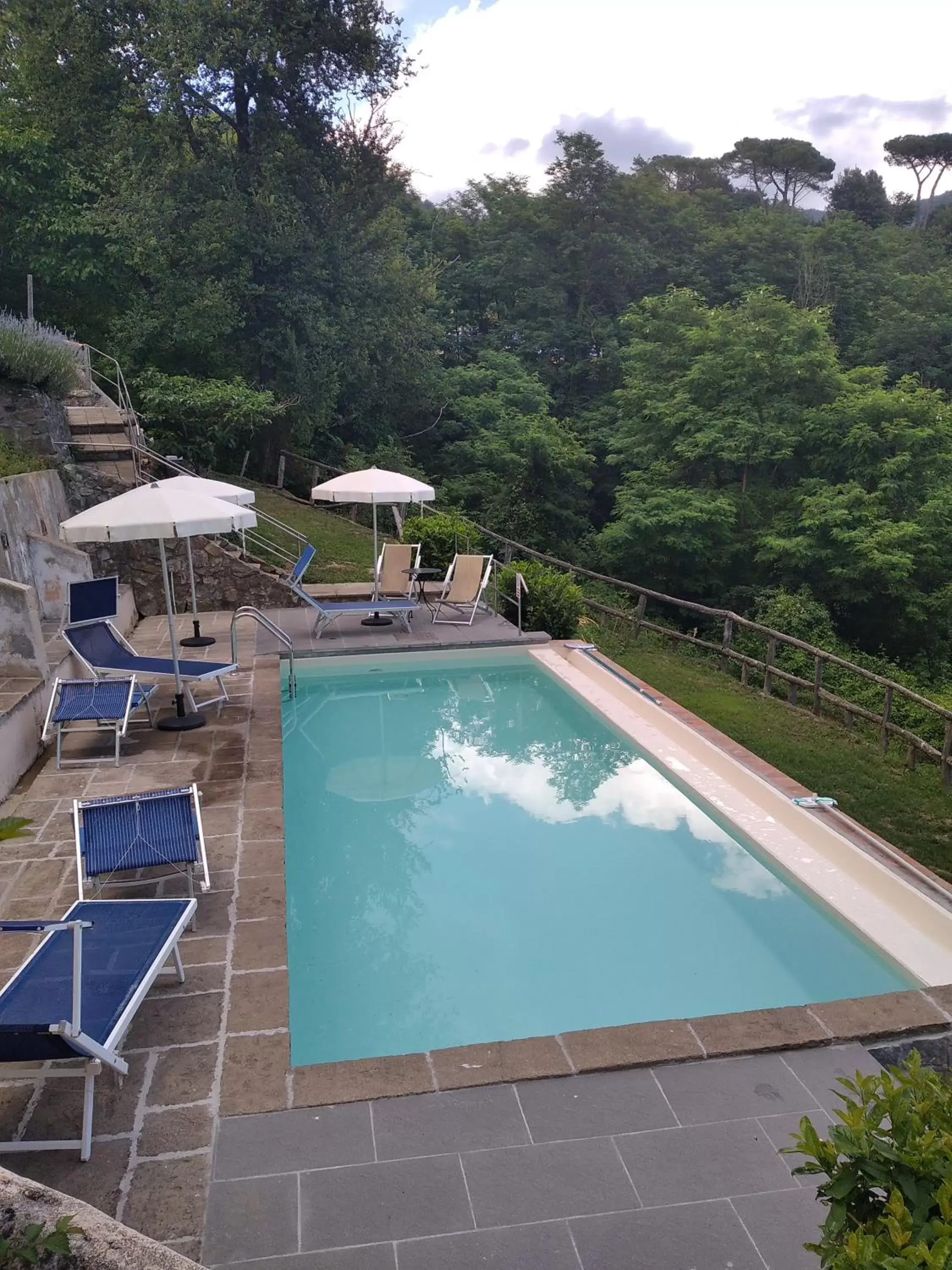 Swimming Pool in Villa Belvedere