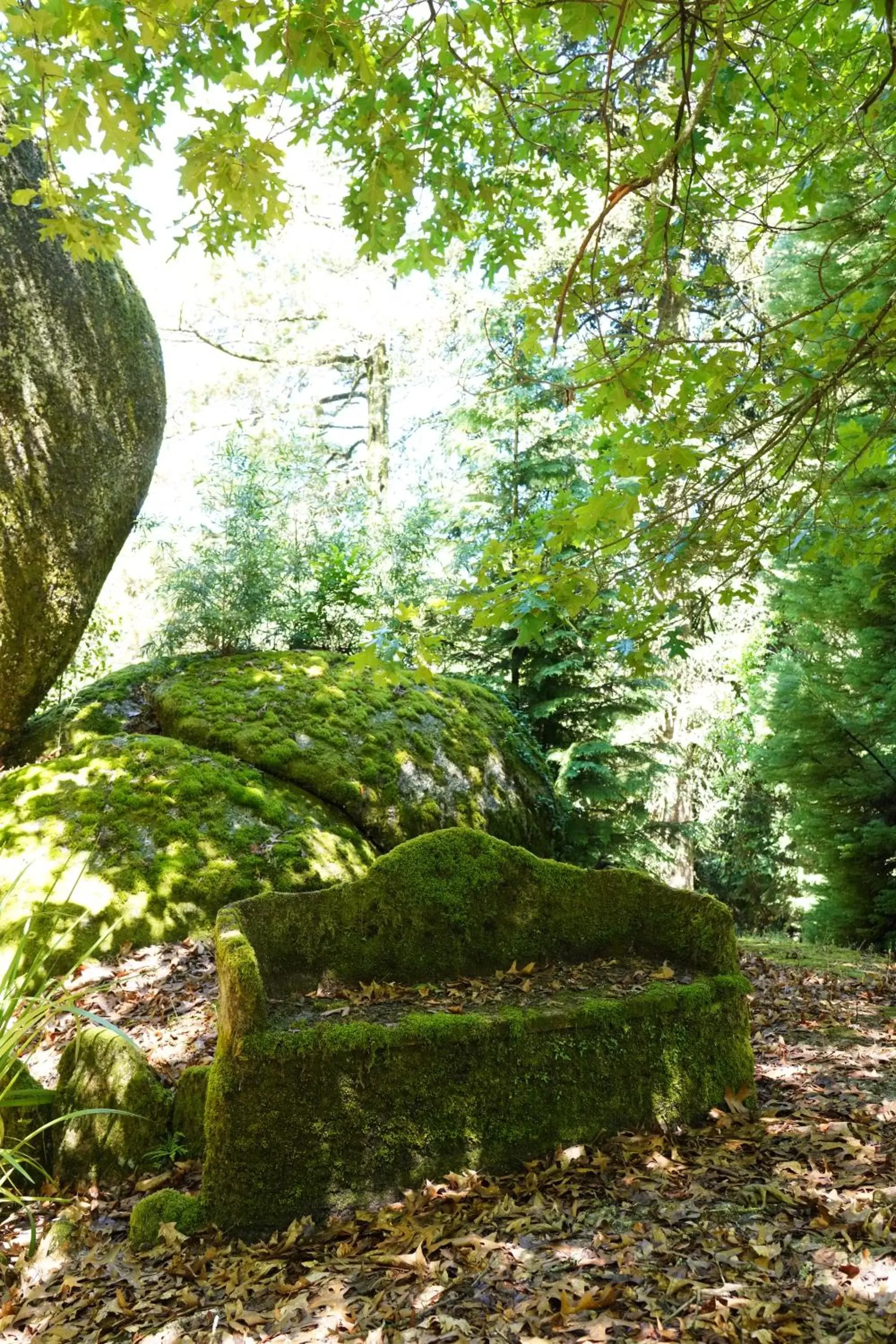 Natural landscape, Garden in The Grove Houses