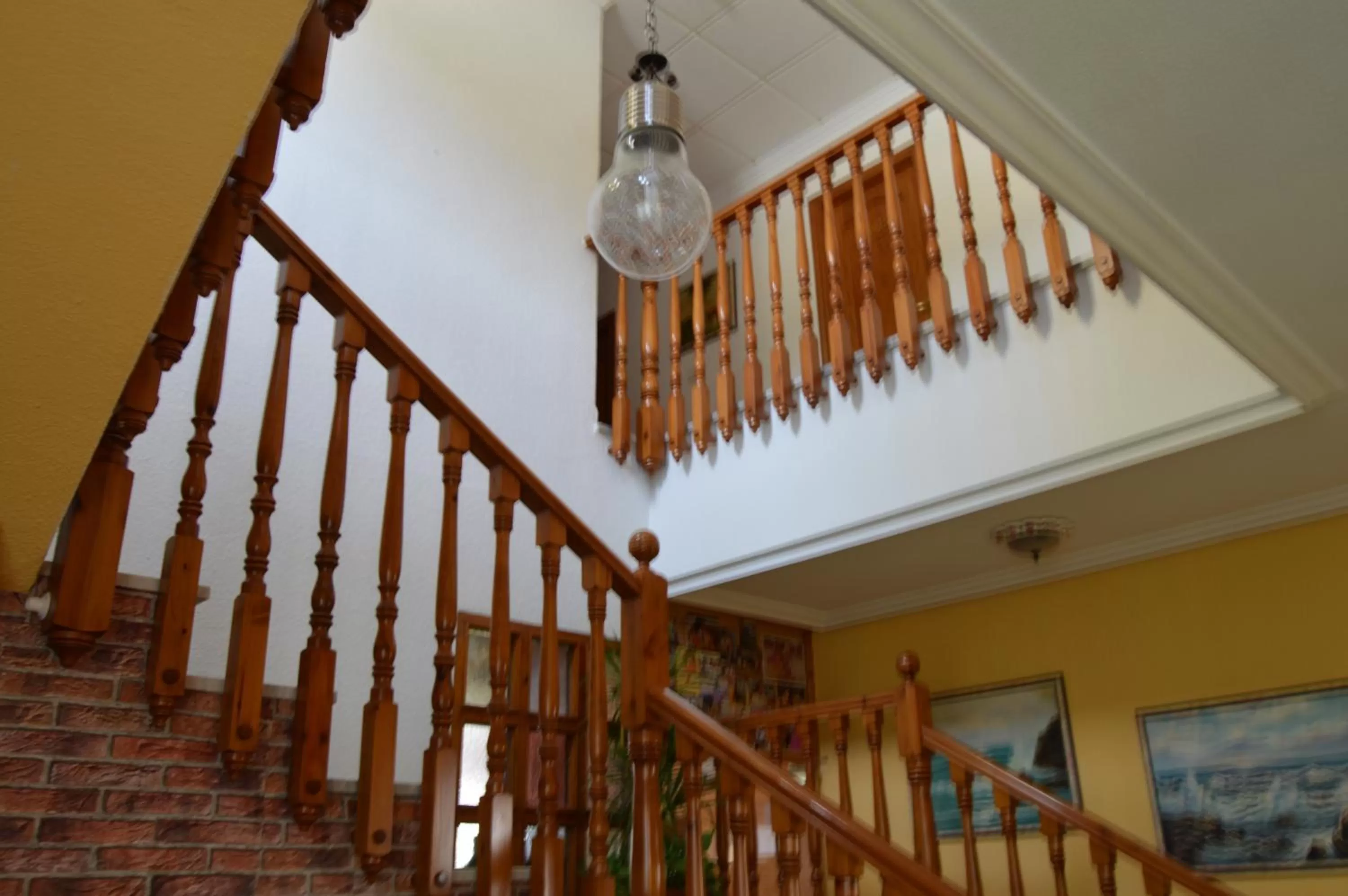 Area and facilities in Hotel Argos