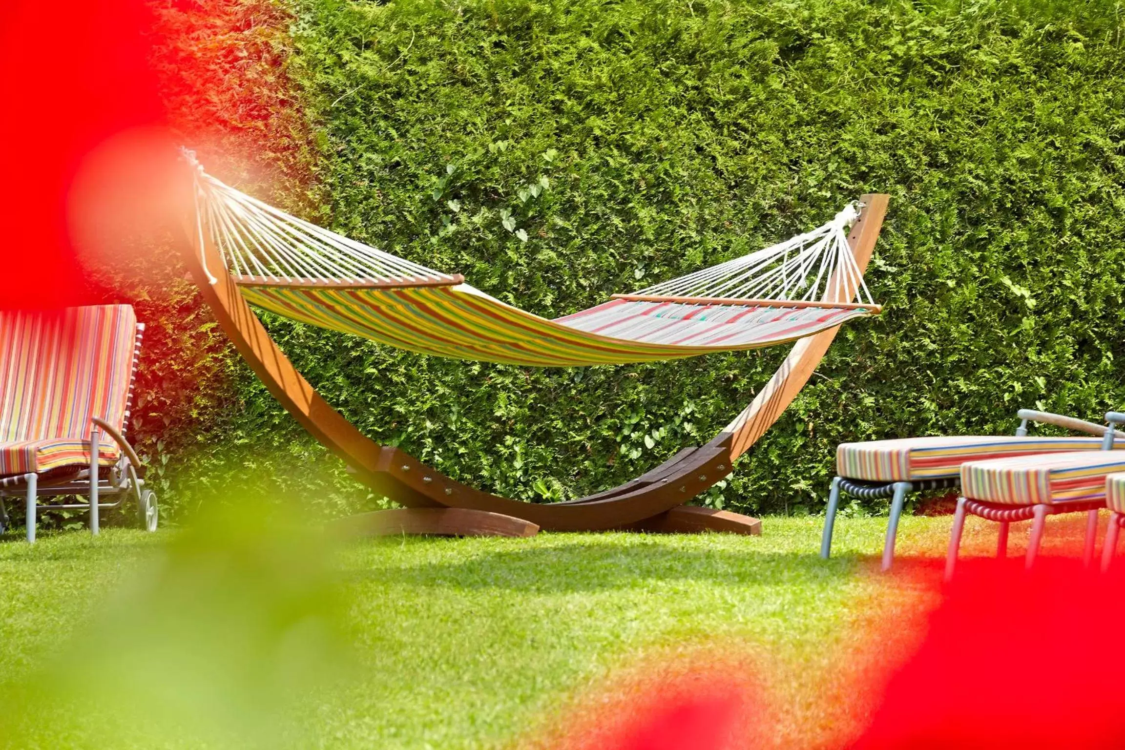 Day, Garden in Hotel Hirschen in Freiburg-Lehen