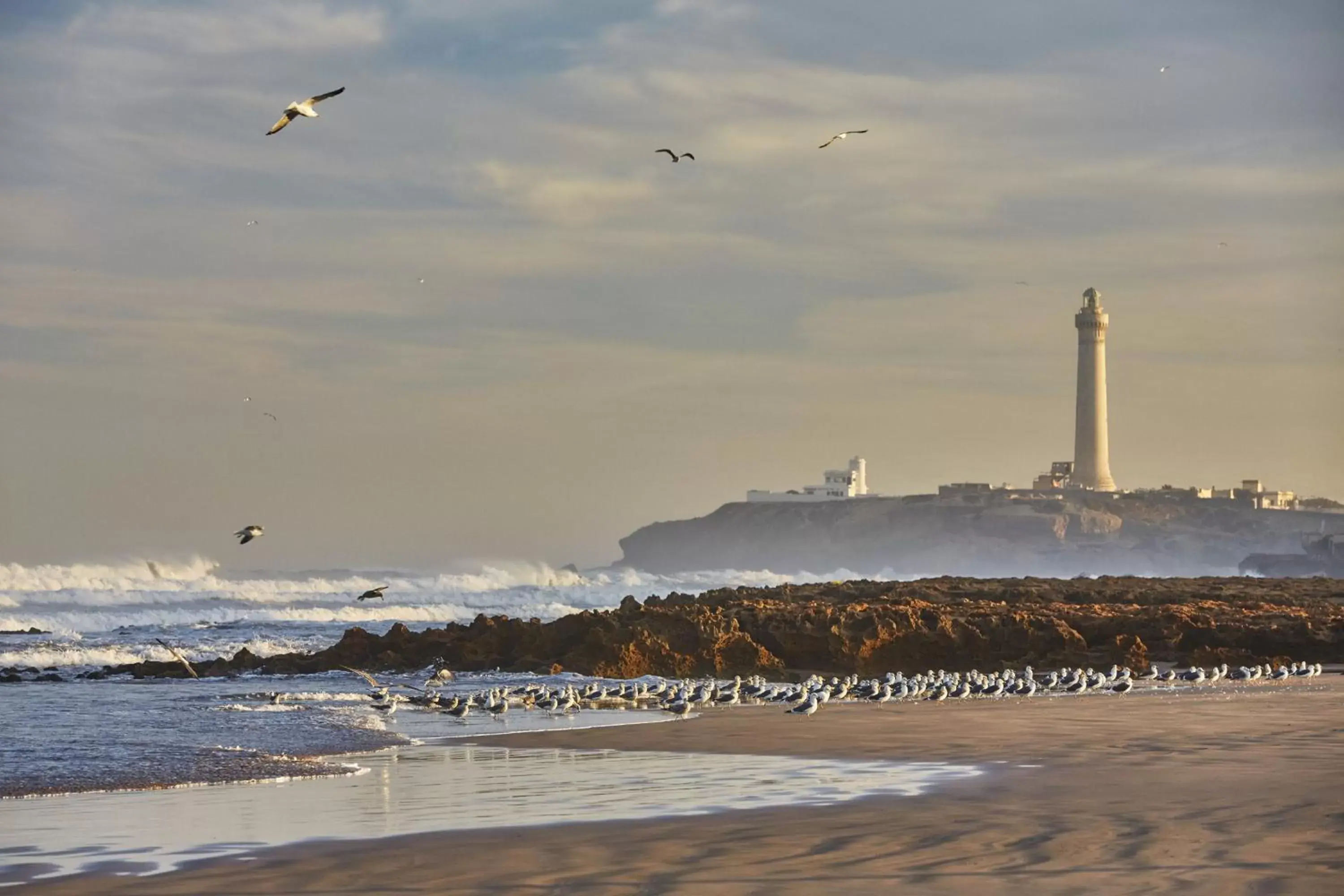 Nearby landmark, Beach in Four Seasons Hotel Casablanca