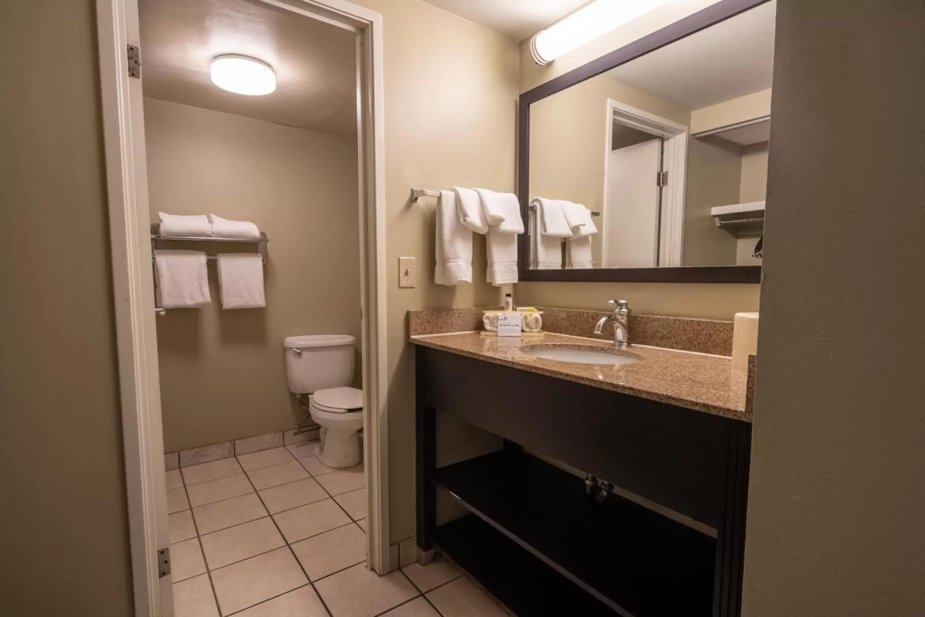 Bathroom in Holiday Inn Express Hotel & Suites Pittsburgh Airport, an IHG Hotel