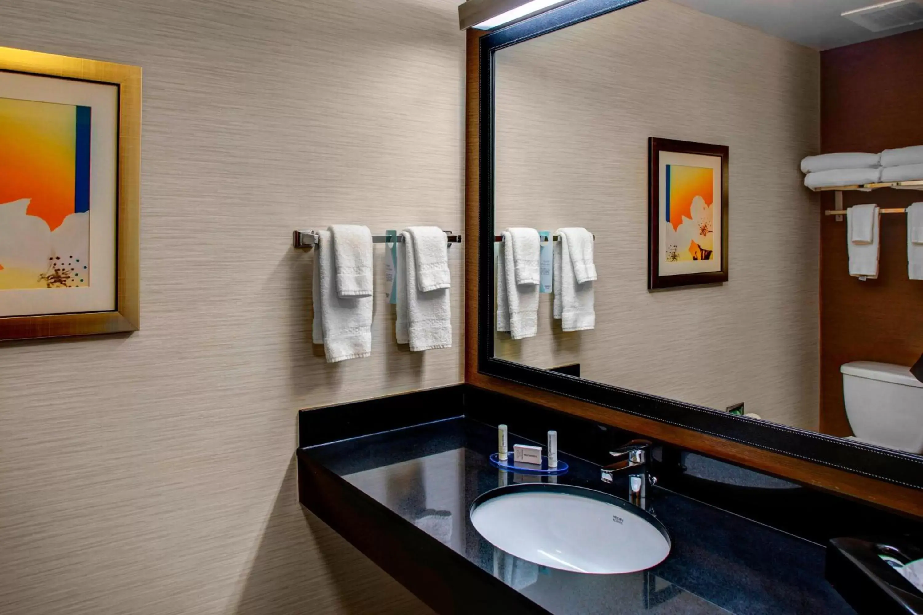 Bathroom in Fairfield Inn and Suites by Marriott Emporia I-95