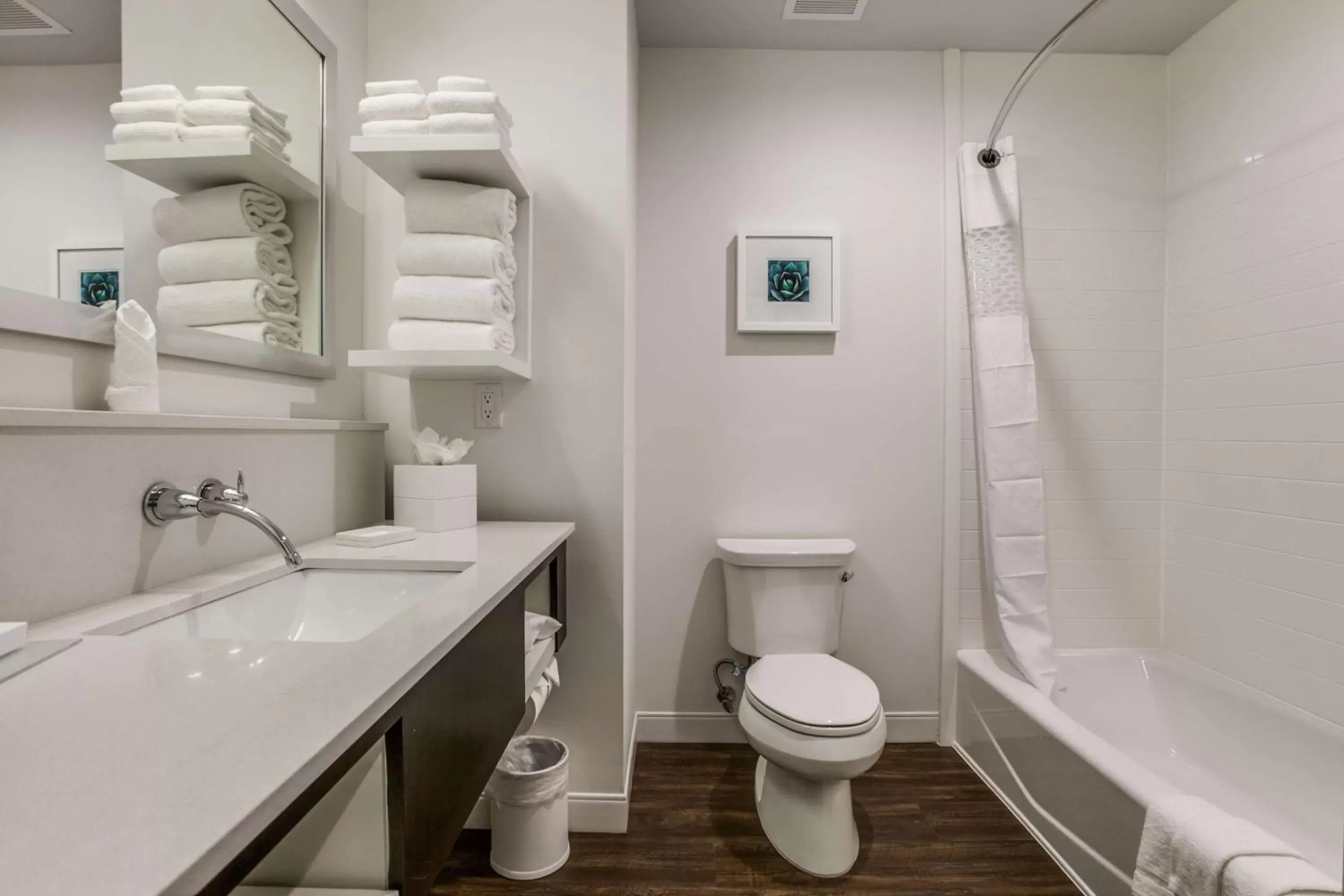 Bathroom in Hampton Inn & Suites Dallas-Central Expy/North Park Area
