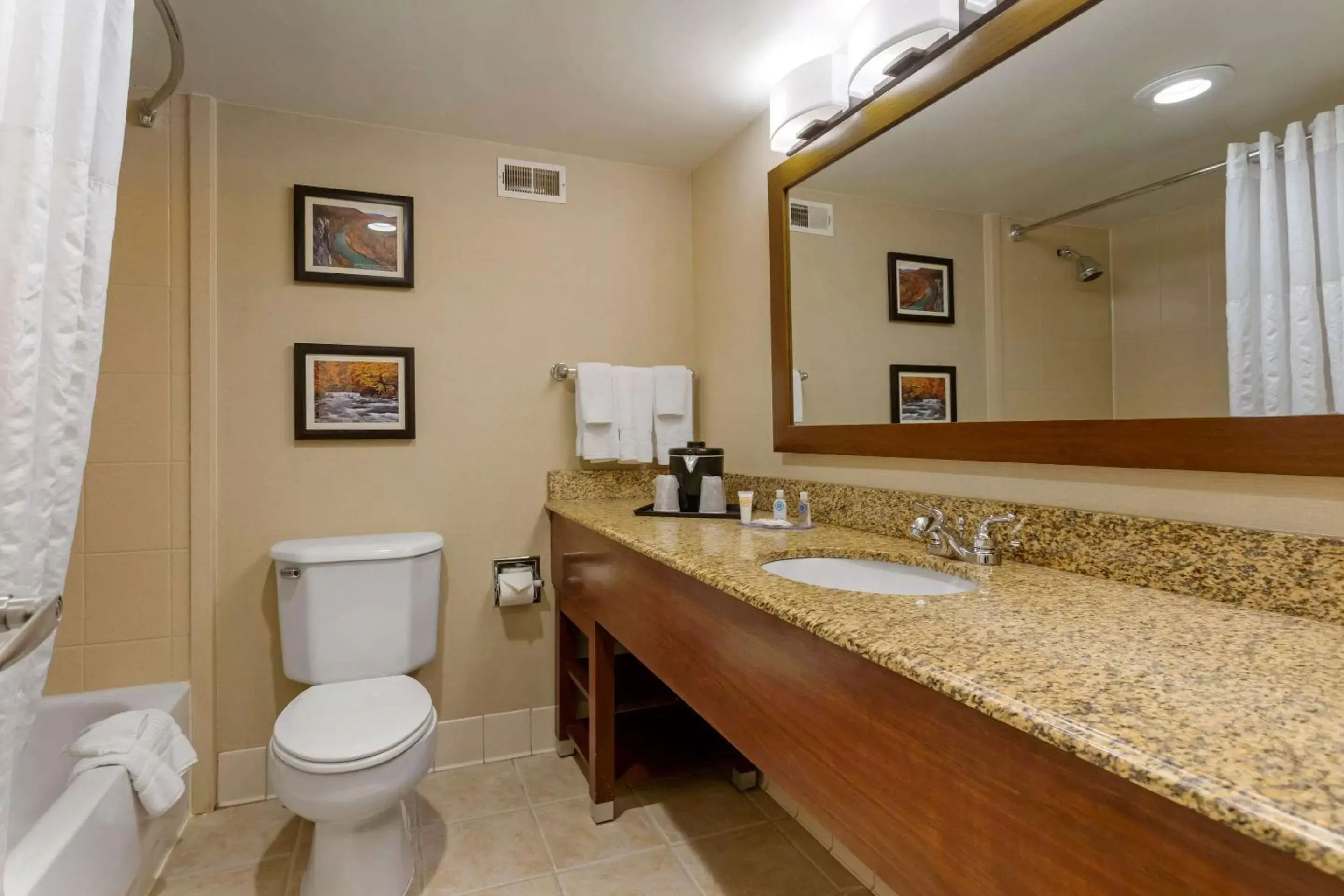 Bedroom, Bathroom in Comfort Inn & Suites Presidential