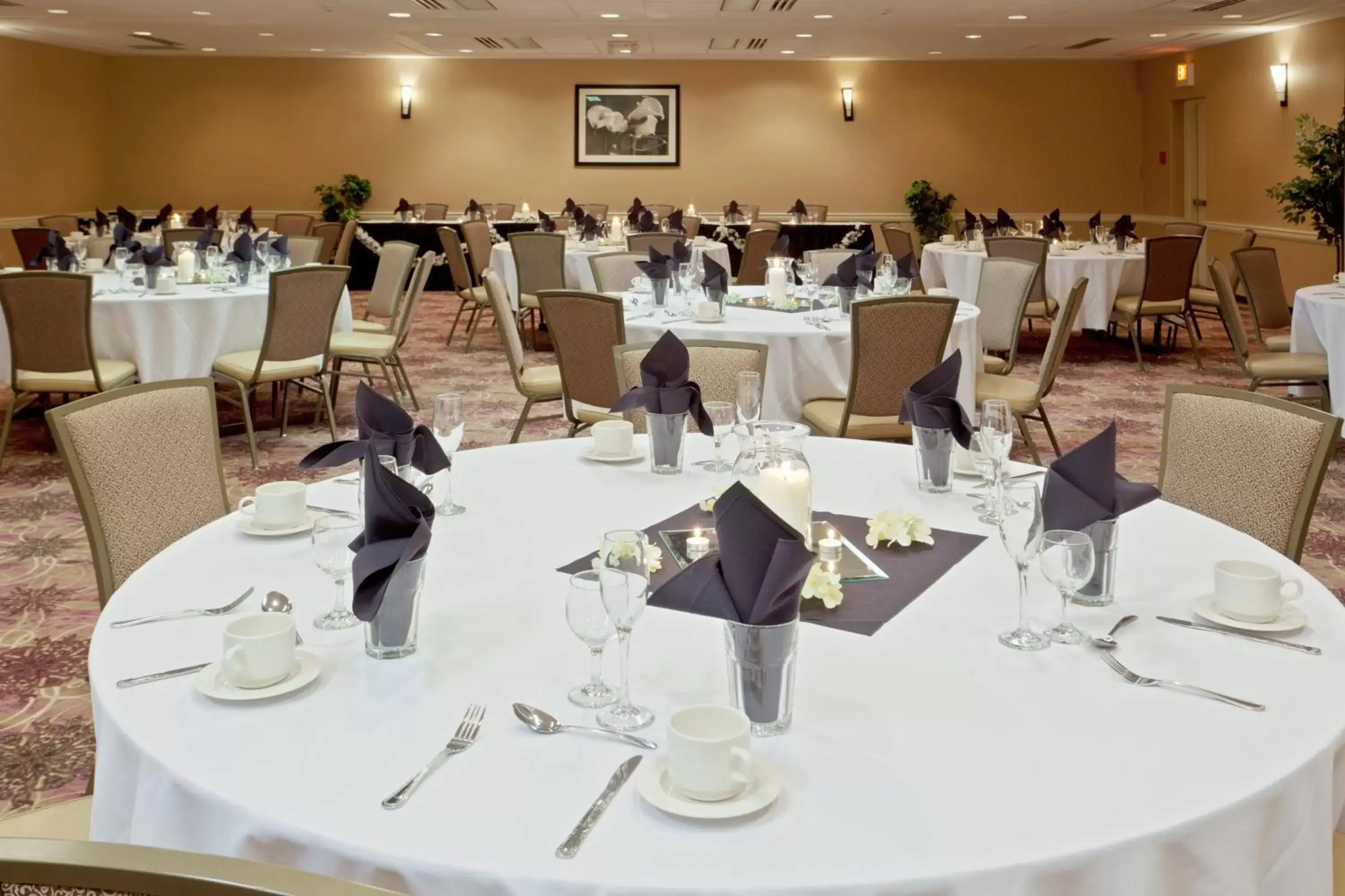 Banquet/Function facilities, Restaurant/Places to Eat in Armoni Inn & Suites