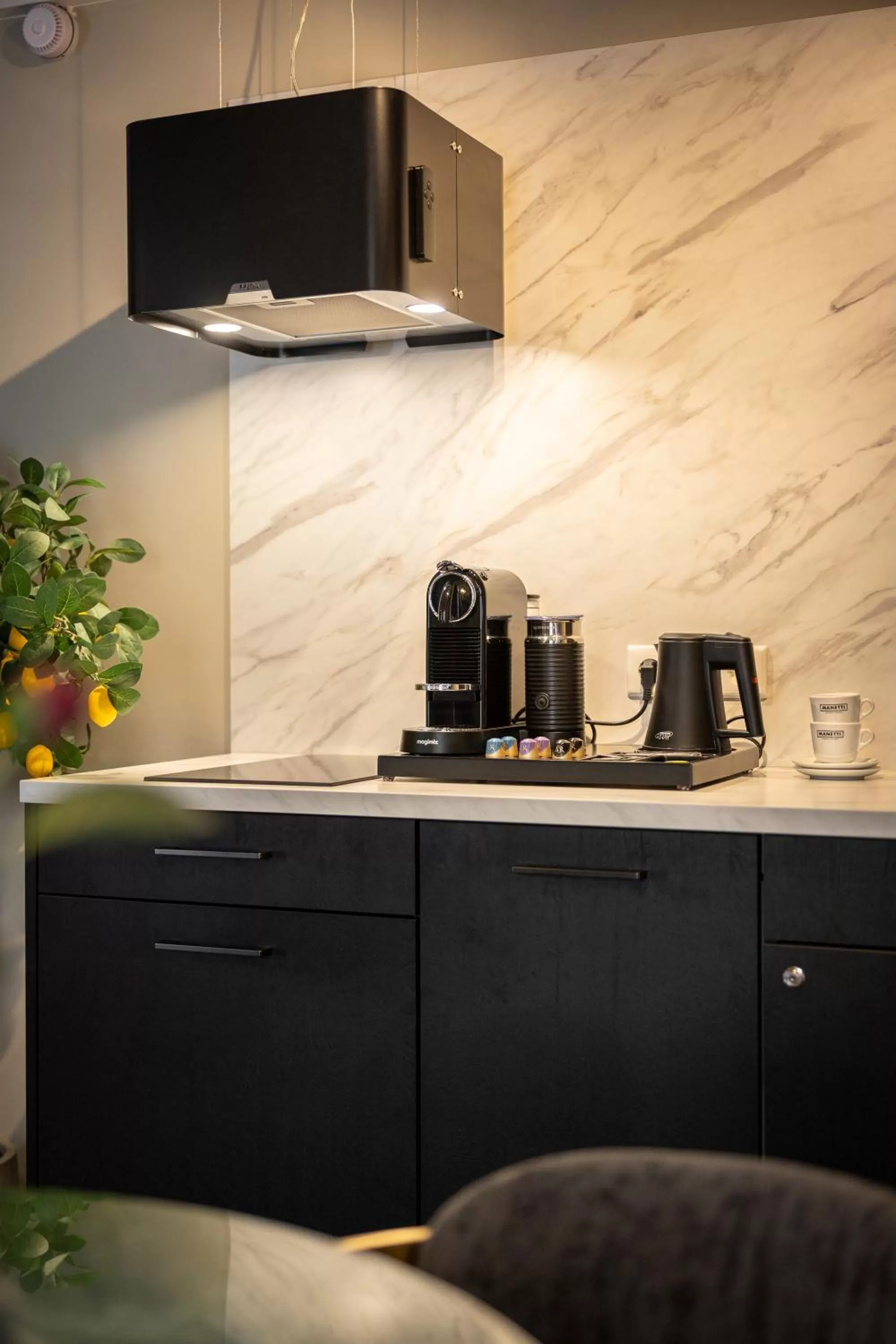 Coffee/tea facilities, Kitchen/Kitchenette in The Lemon Suites