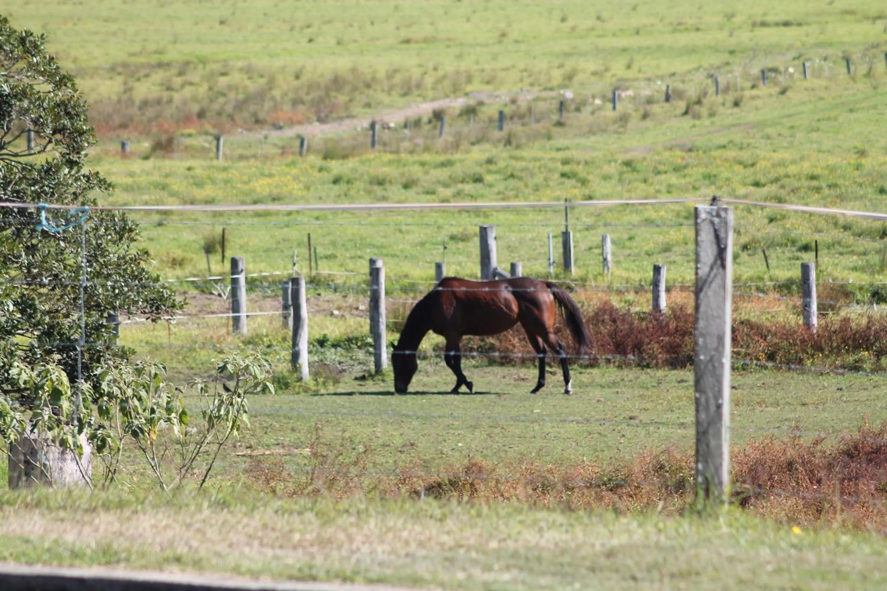 Nearby landmark in Sir Francis Drake