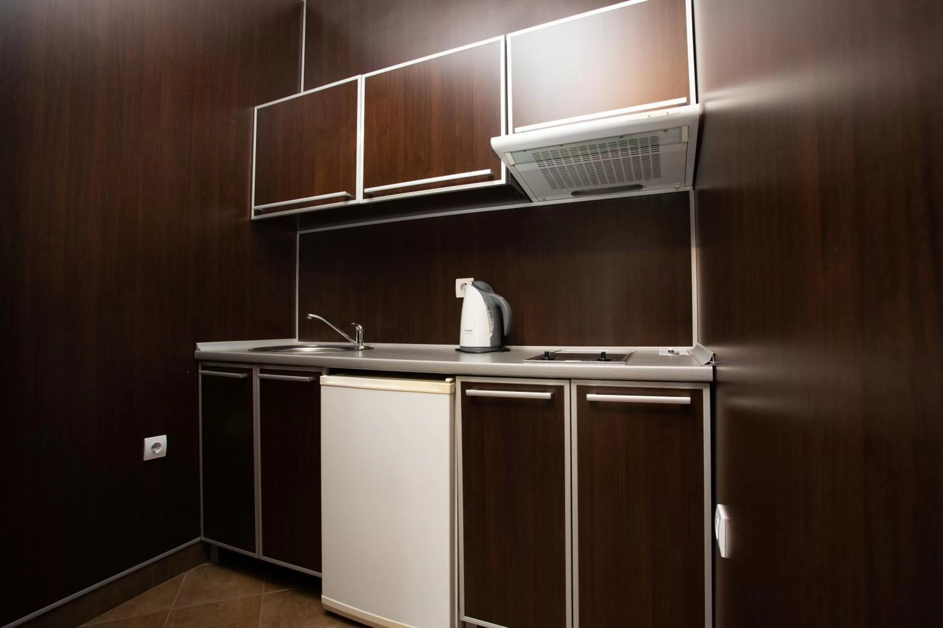 Kitchen or kitchenette in Hotel Alexandar Lux
