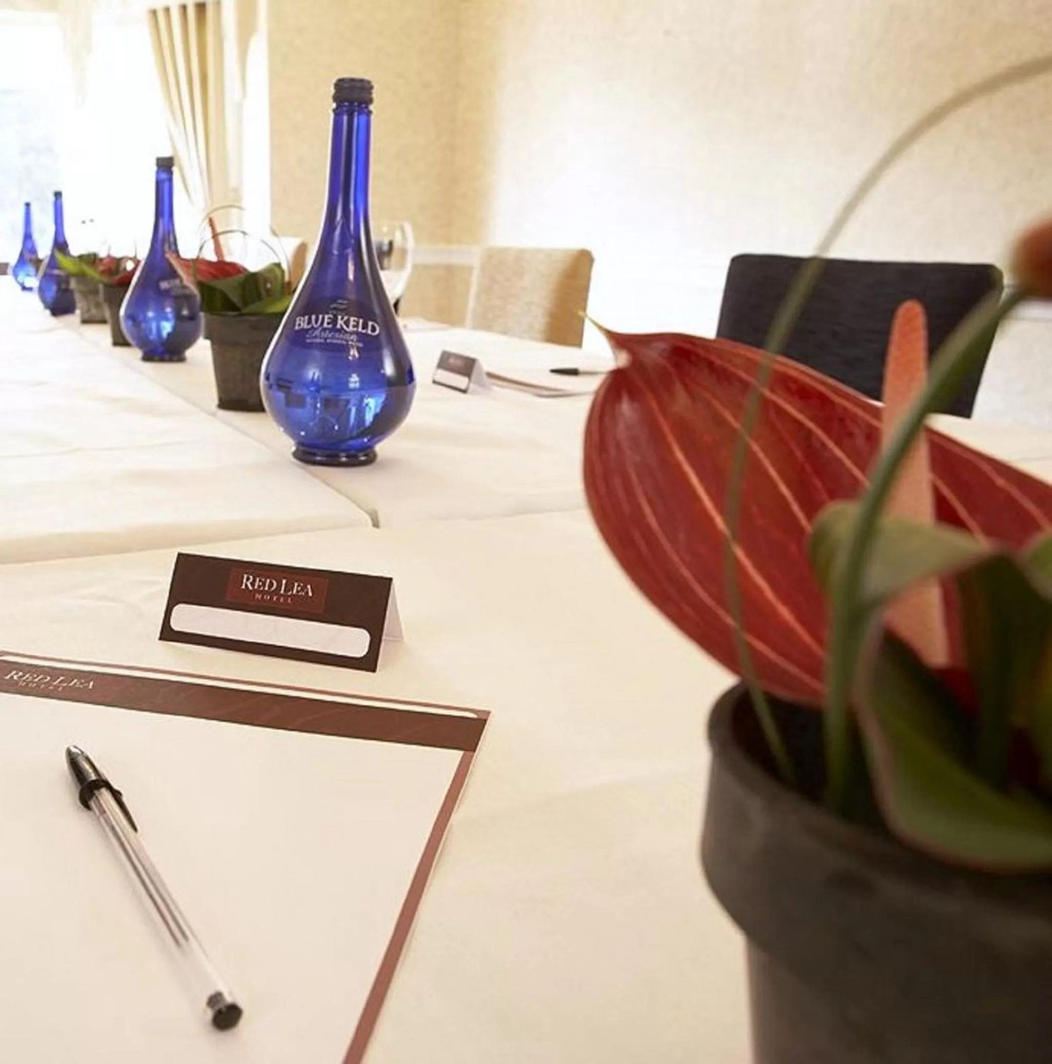 Meeting/conference room in The Red Lea Hotel