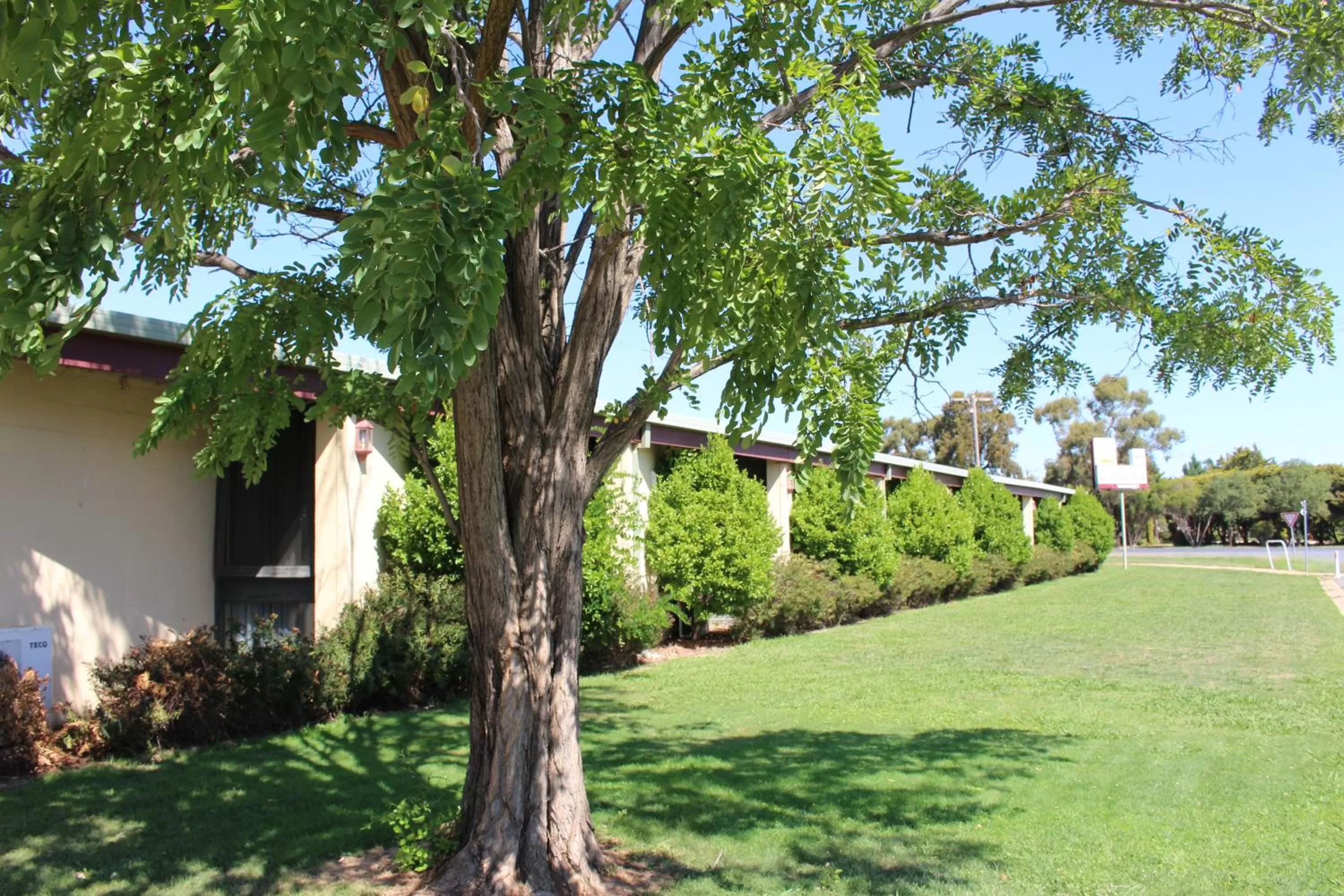 Garden in Cobram Colonial Motor Inn