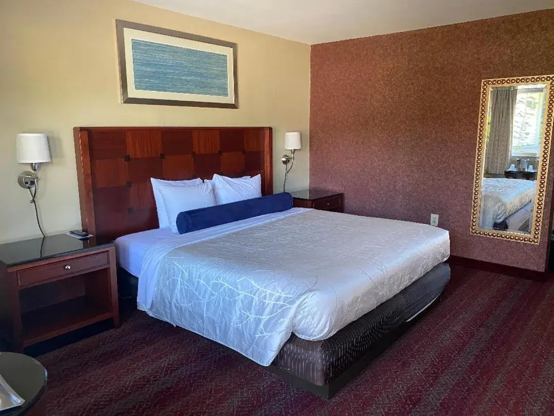 Photo of the whole room, Bed in The Black Mountain Inn Photo of the whole room, Bed in The Black Mountain Inn