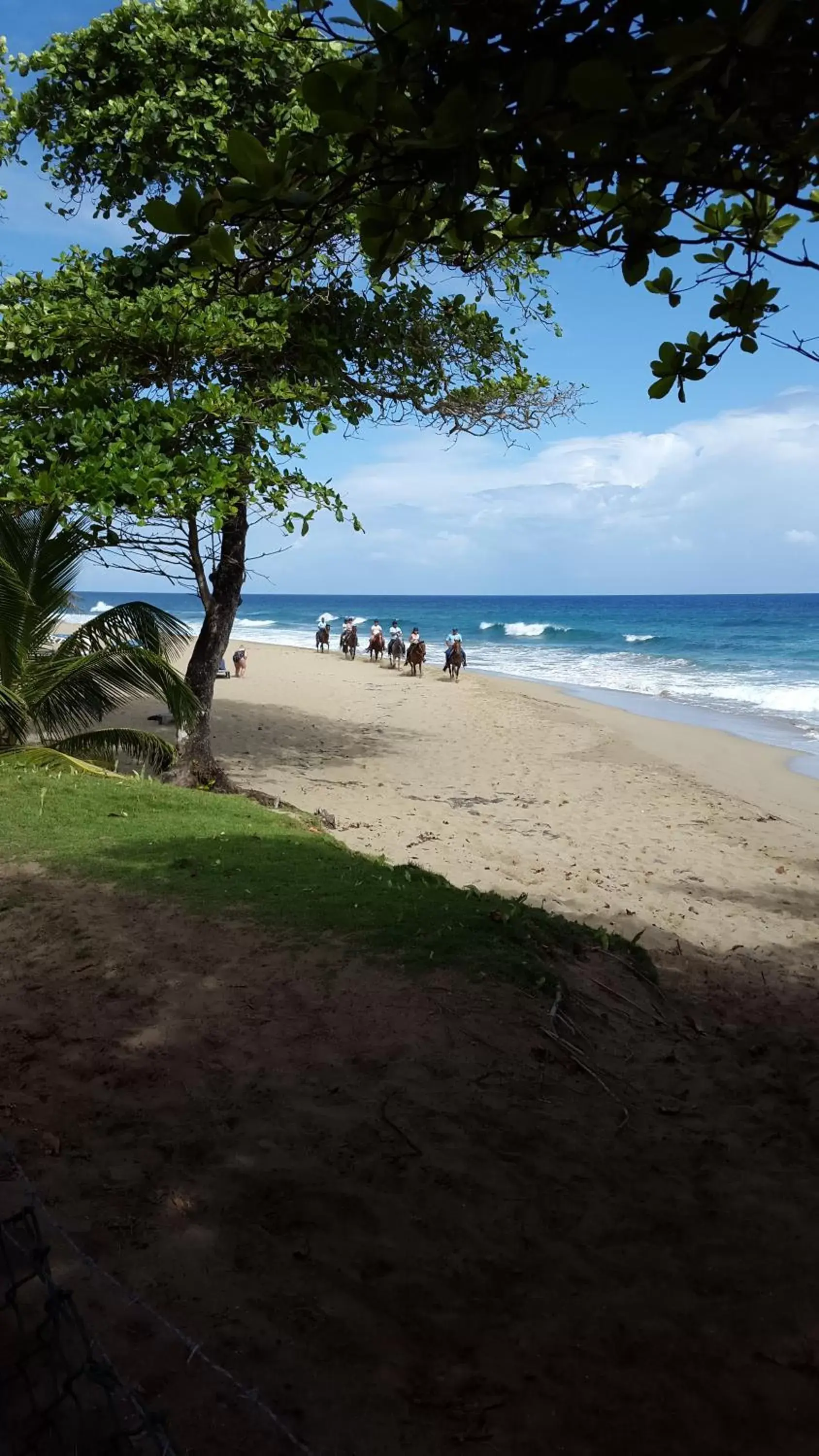 Horse-riding, Beach in Cabarete Maravilla Eco Lodge Boutique Beach Surf & Kite