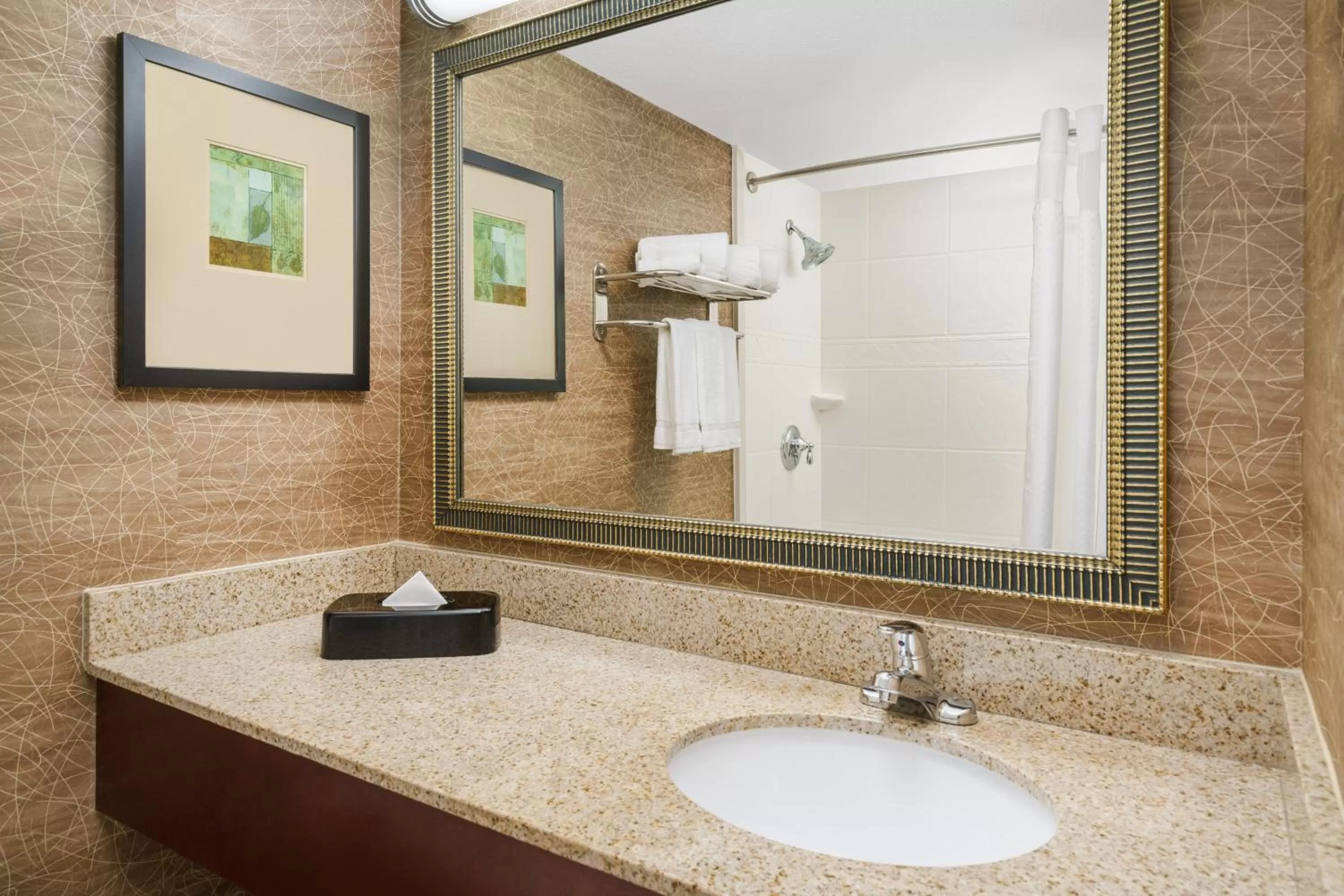 Bathroom in Holiday Inn Express Boston Brockton by IHG