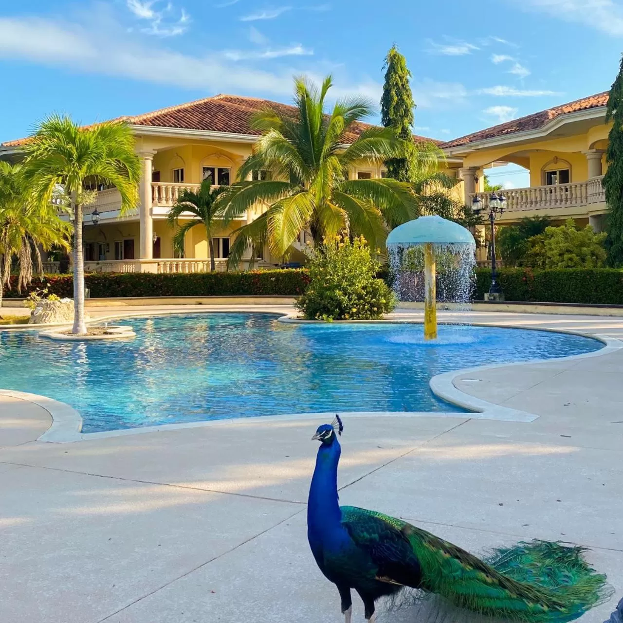 Swimming Pool in La Ensenada Beach Resort