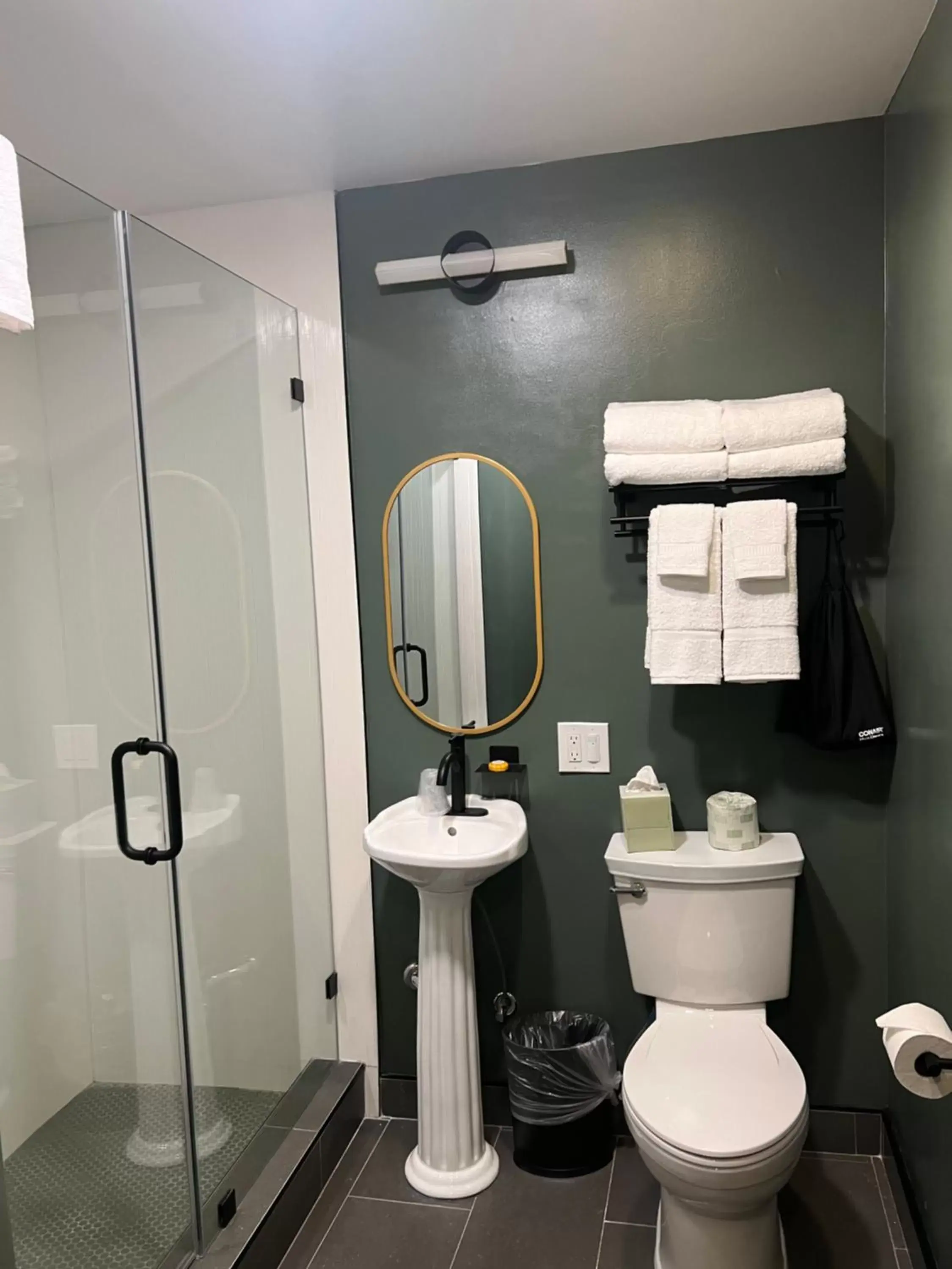 Shower, Bathroom in Nob Hill Hotel