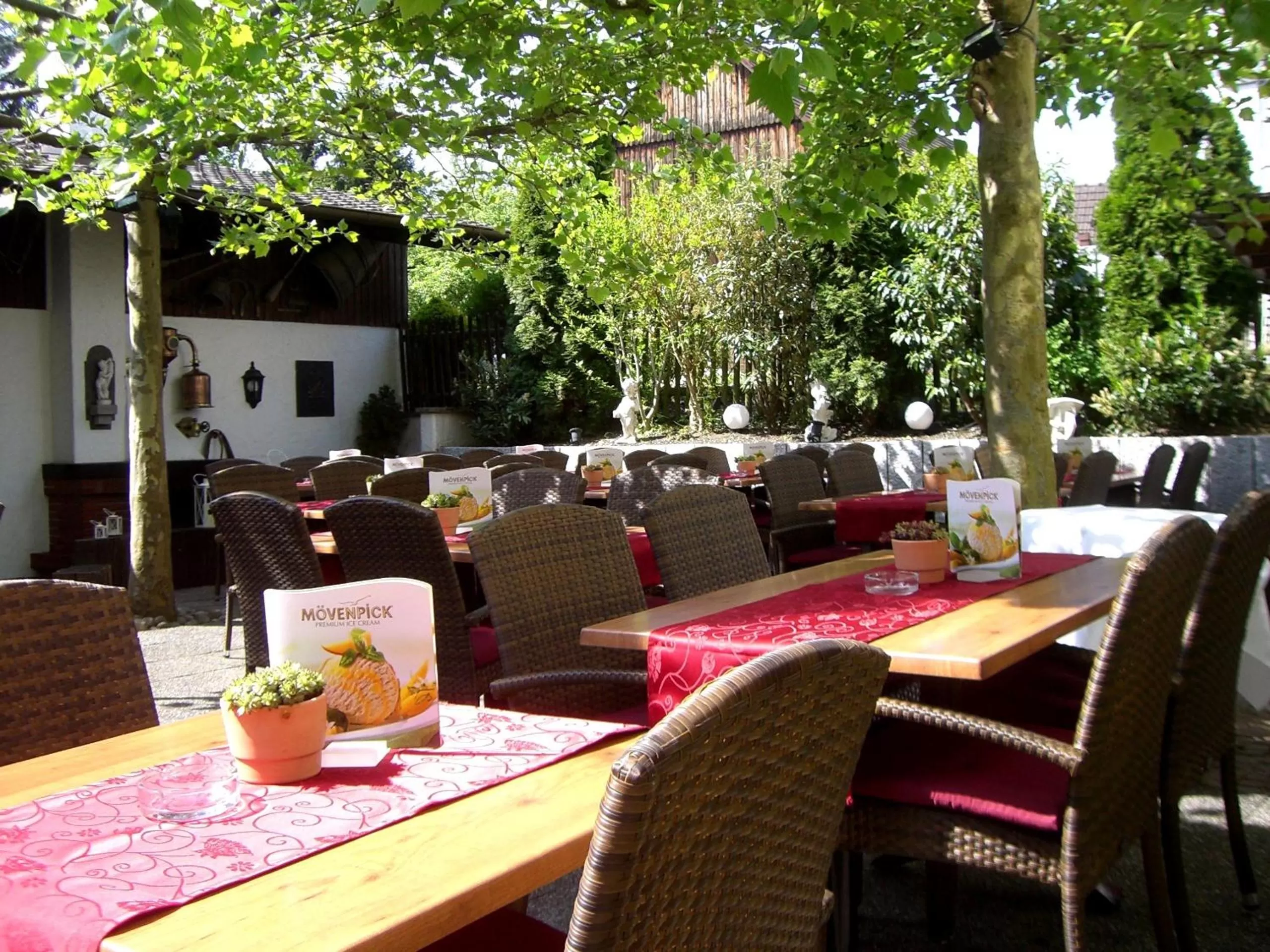 Patio in Hotel Krone