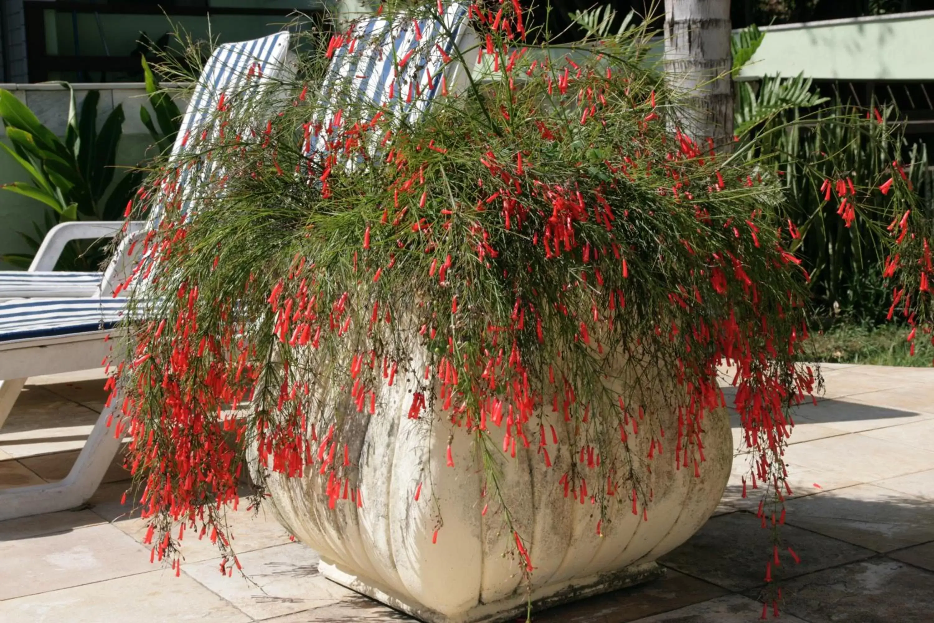 Decorative detail in Pousada Aguas Claras