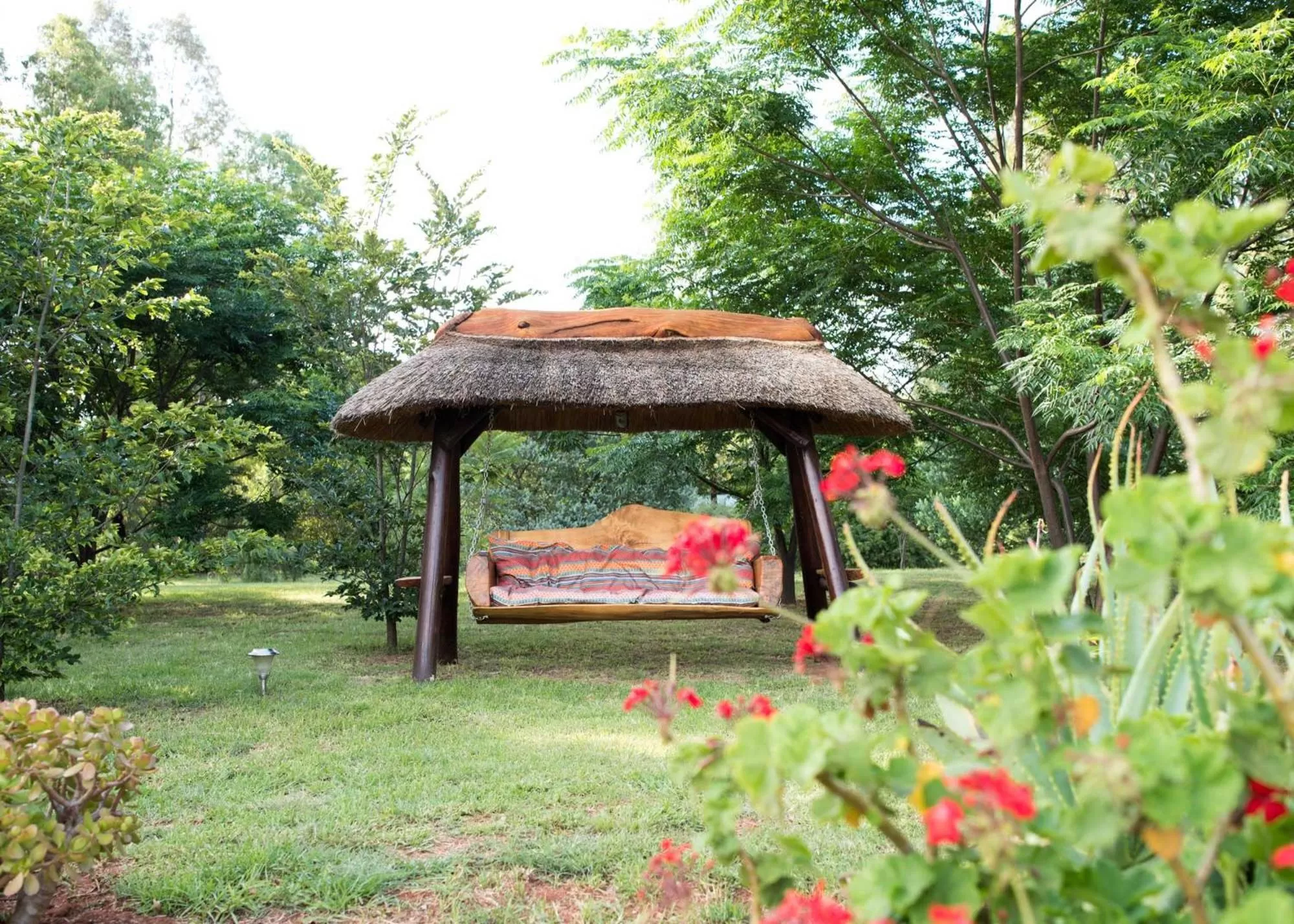 Garden view in Amohela Guesthouse