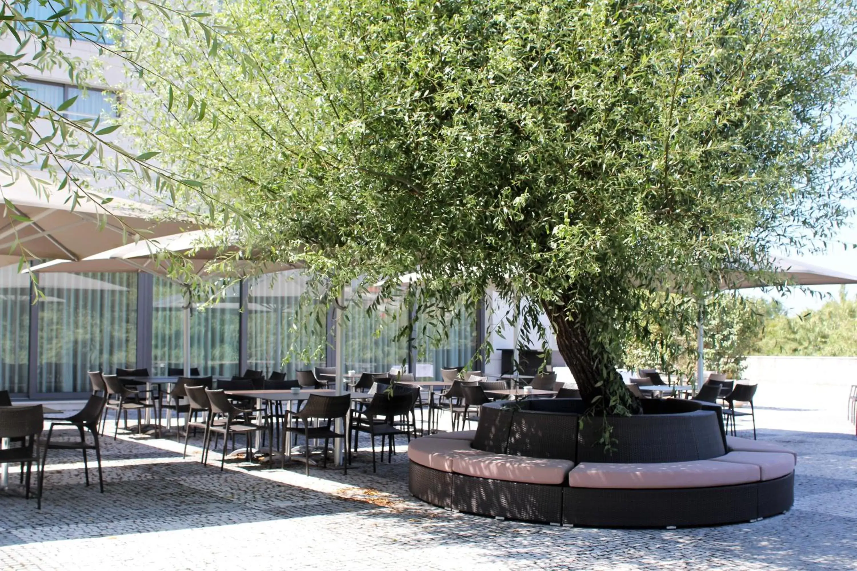 Garden in Hotel Villa Batalha