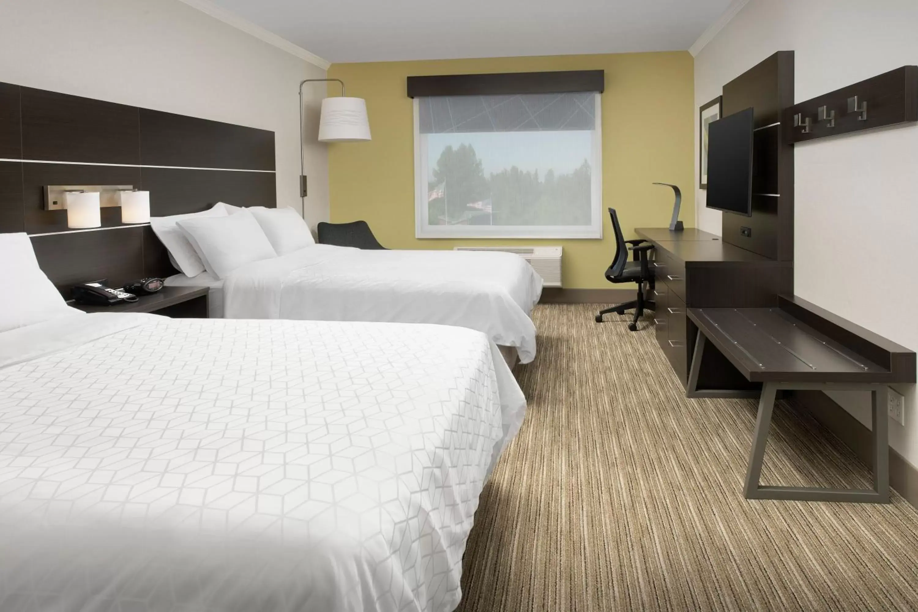 Photo of the whole room, Room Photo in Holiday Inn Express Puyallup, an IHG Hotel