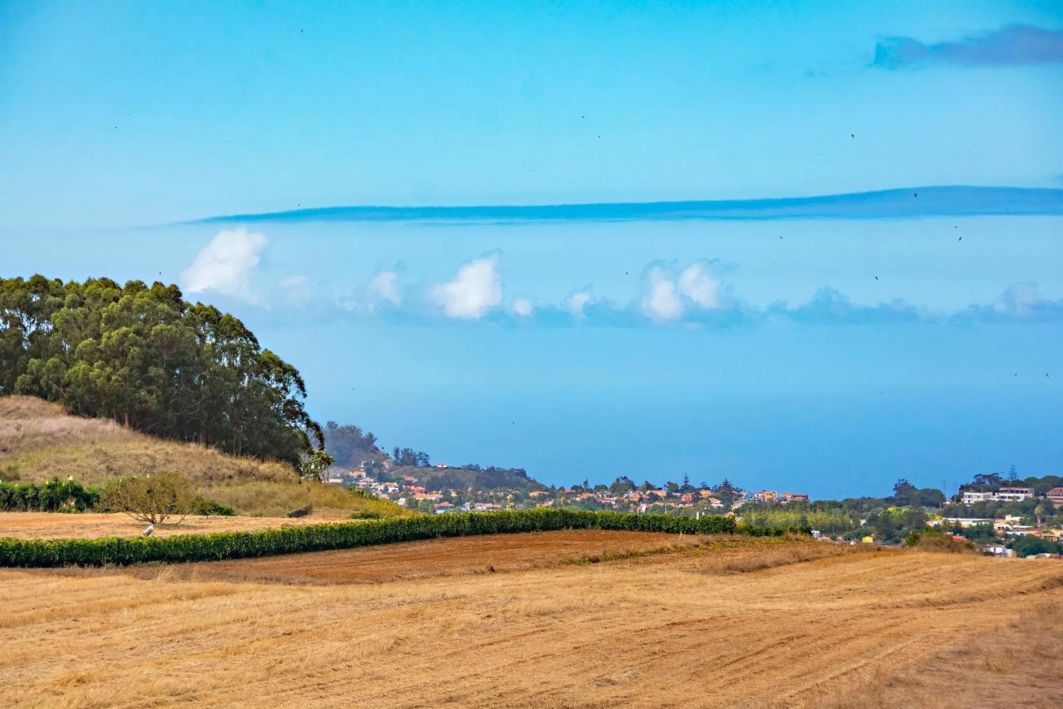 View (from property/room) in Finca Rural La Casa Verde