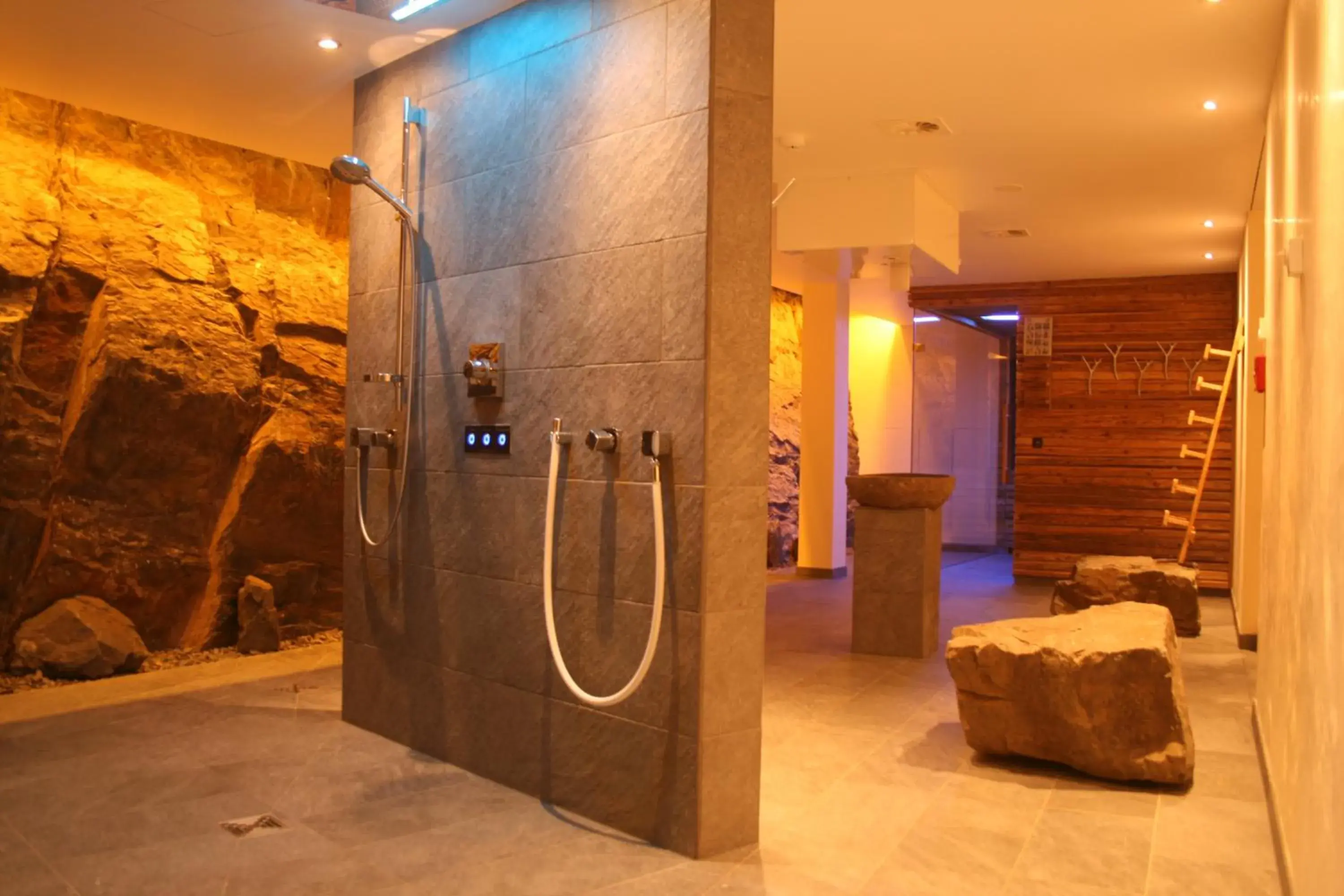 Spa and wellness centre/facilities, Bathroom in Gourmet & Relax Hotel De La Sure