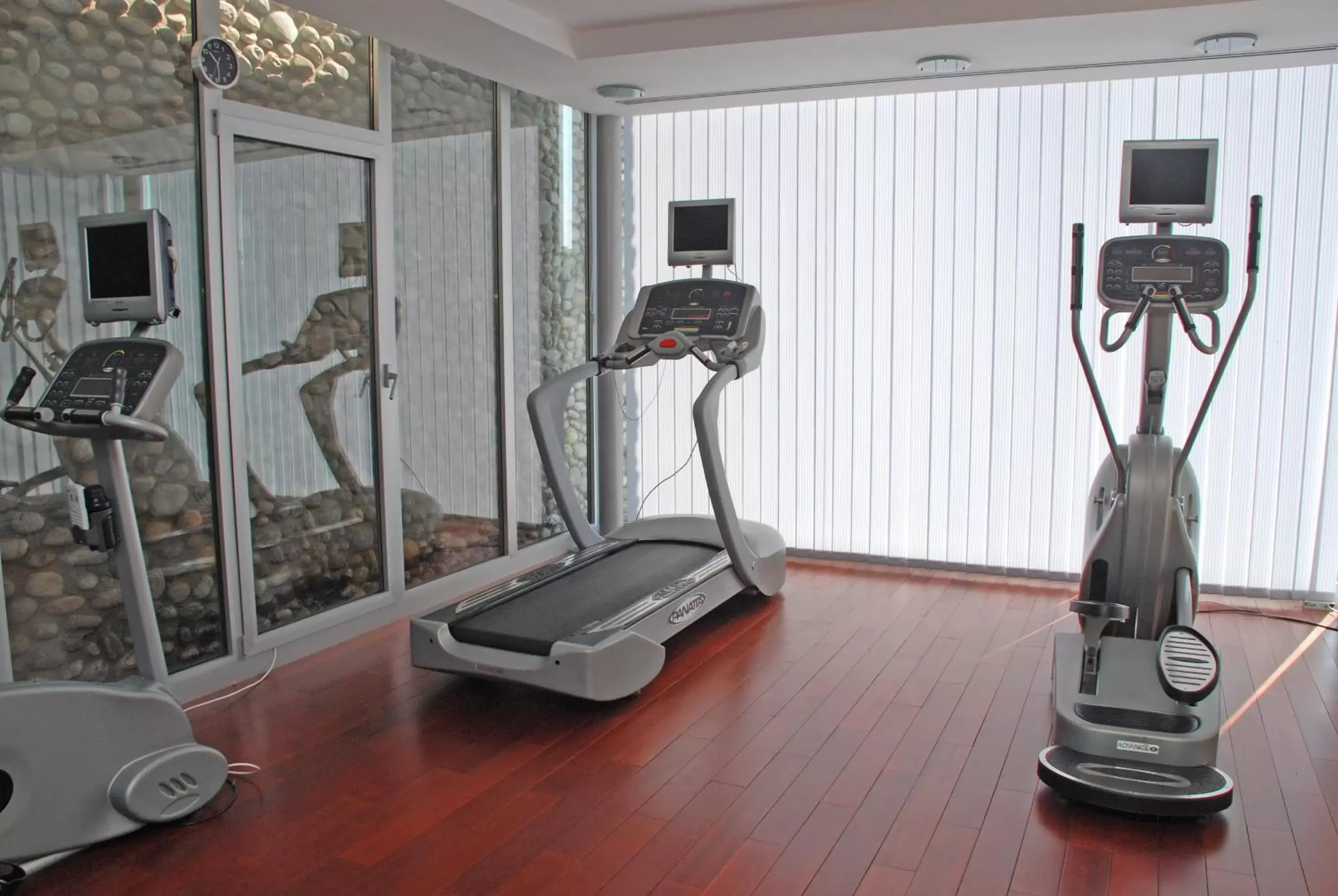 Fitness centre/facilities, Fitness Center/Facilities in Hotel Podgorica