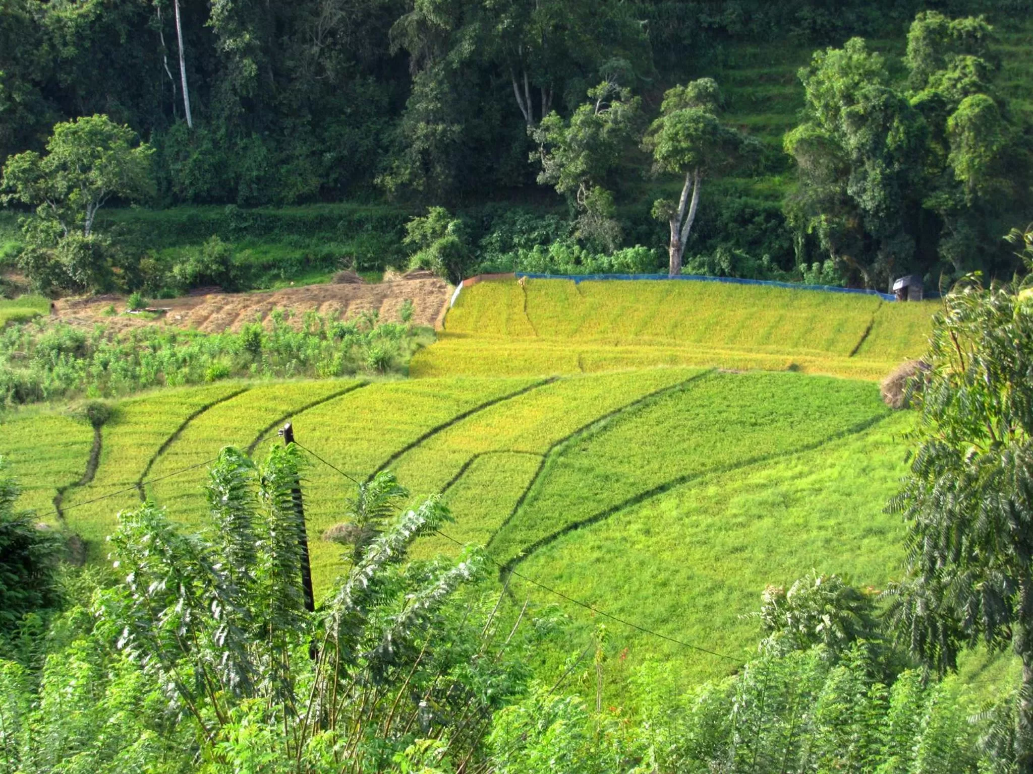 View (from property/room) in Ornateview Hotel