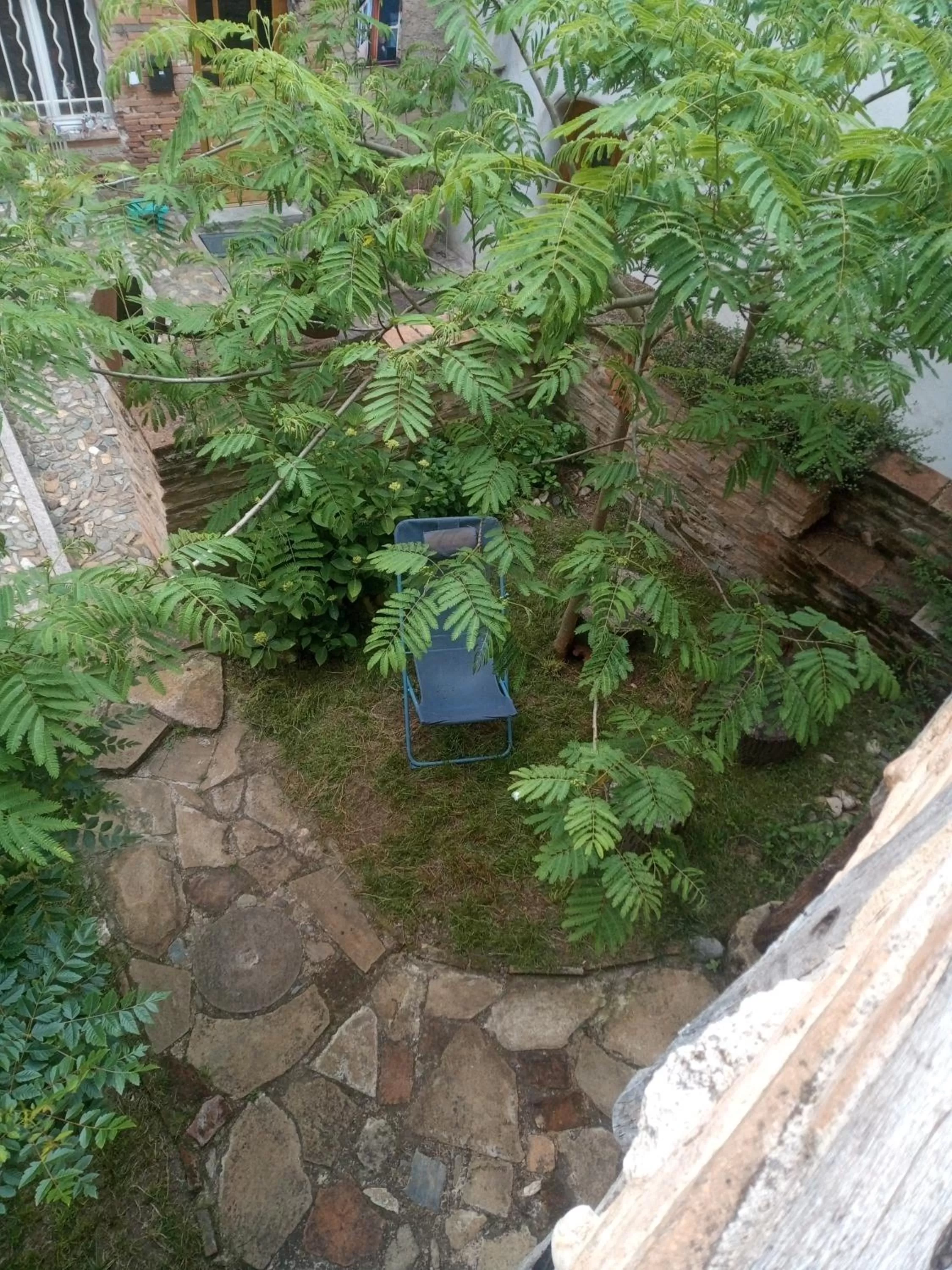 Garden in La lauze et l'anguille