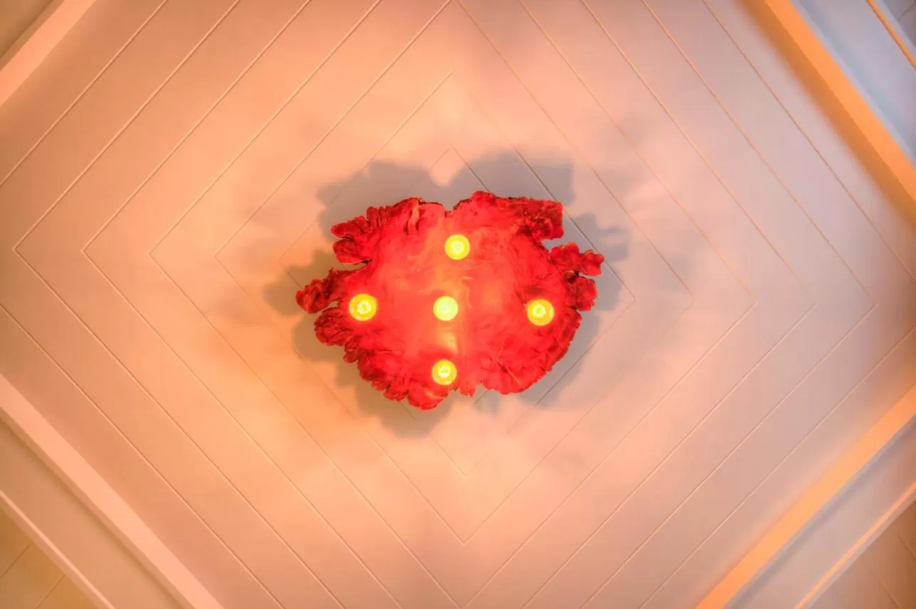 The Fern Ranthambore Forest Resort Rajasthan